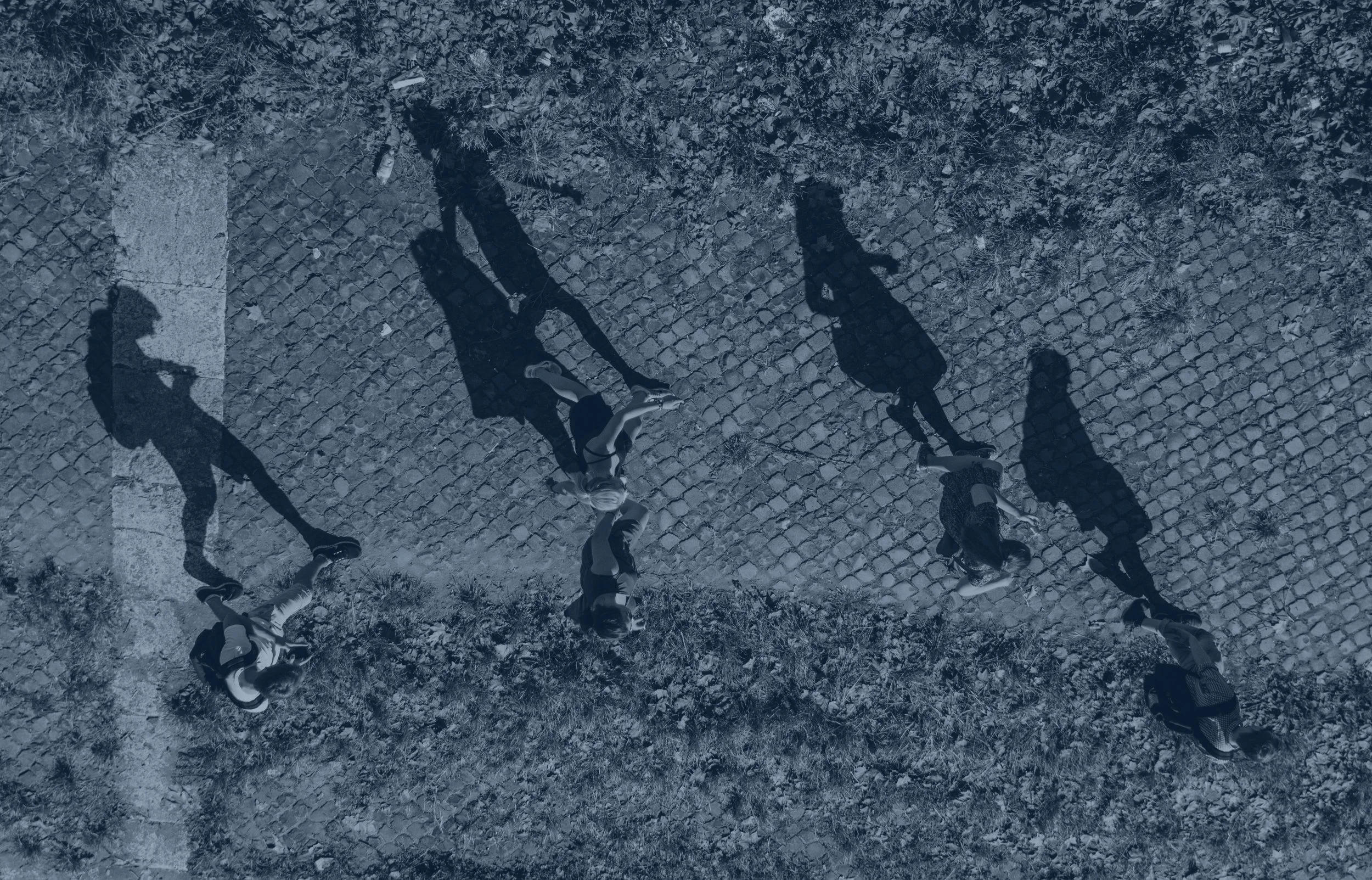 observe.header.jpg