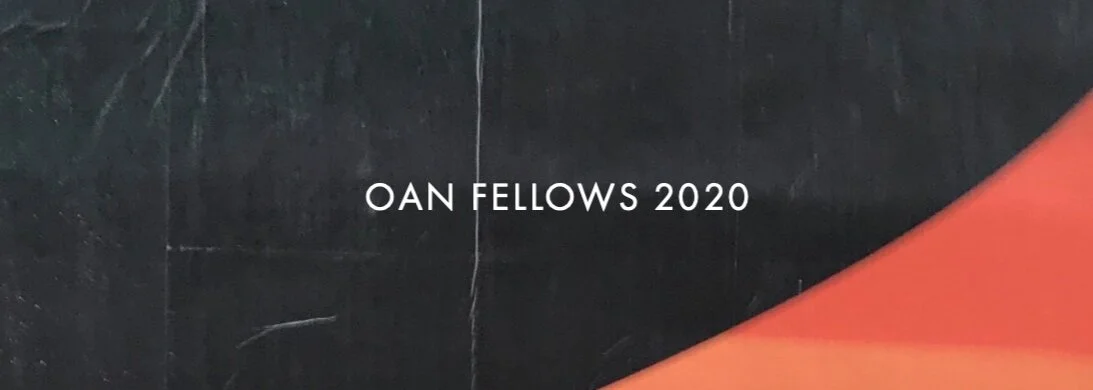 Announcing the 2020 OAN Fellows