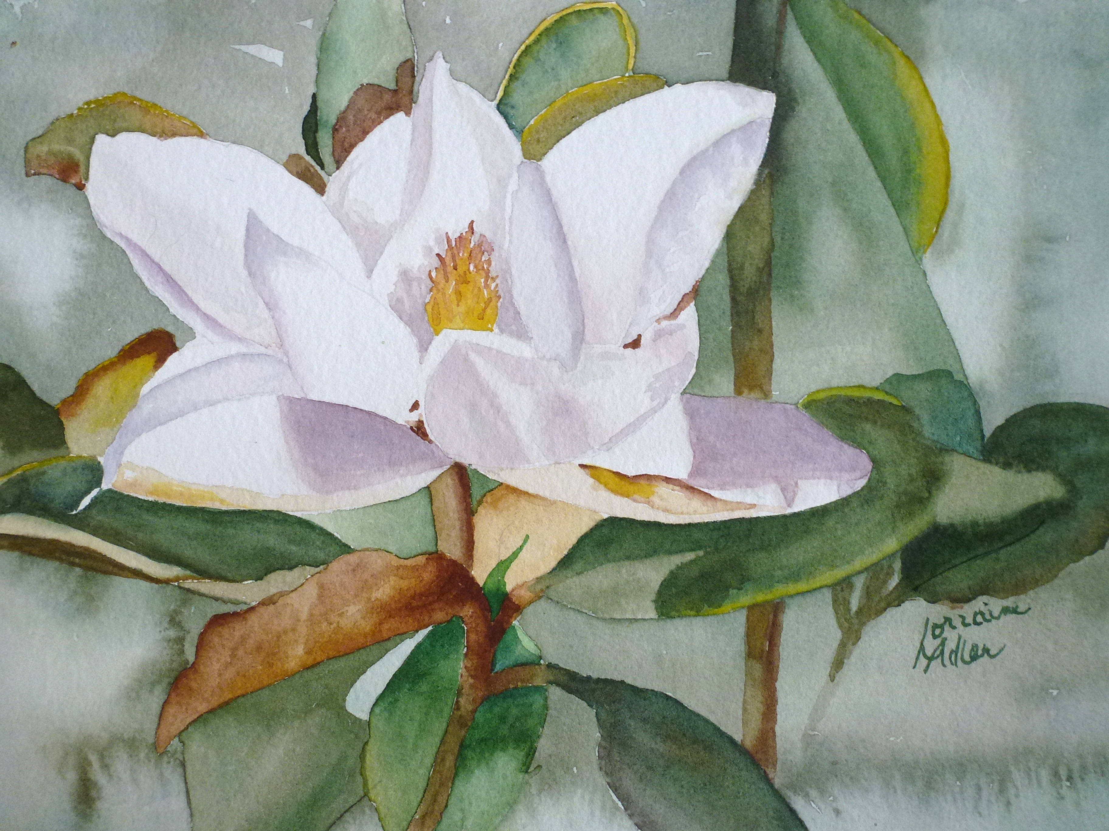 Magnolia