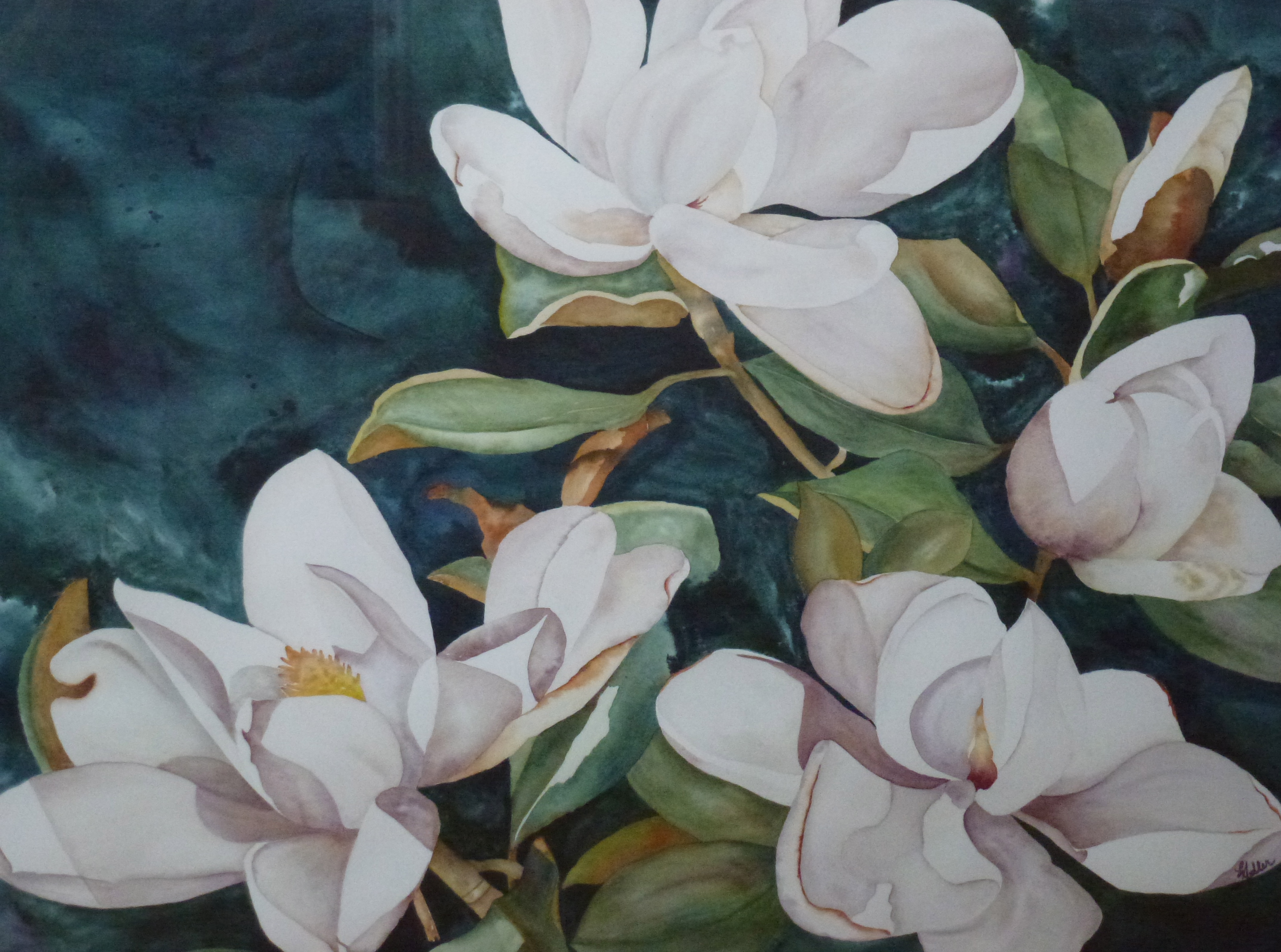Magnolia Collage