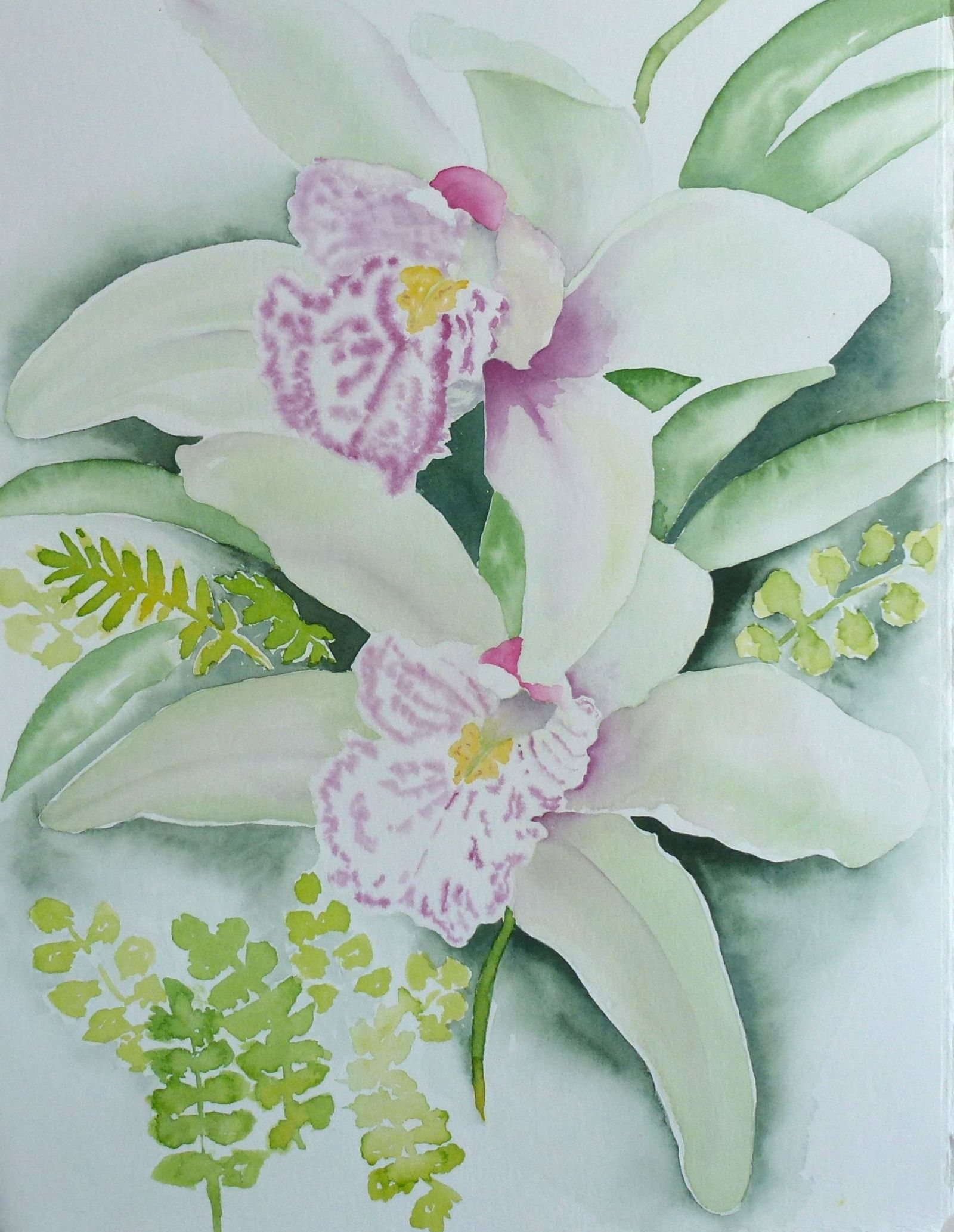 Orchid Greenery
