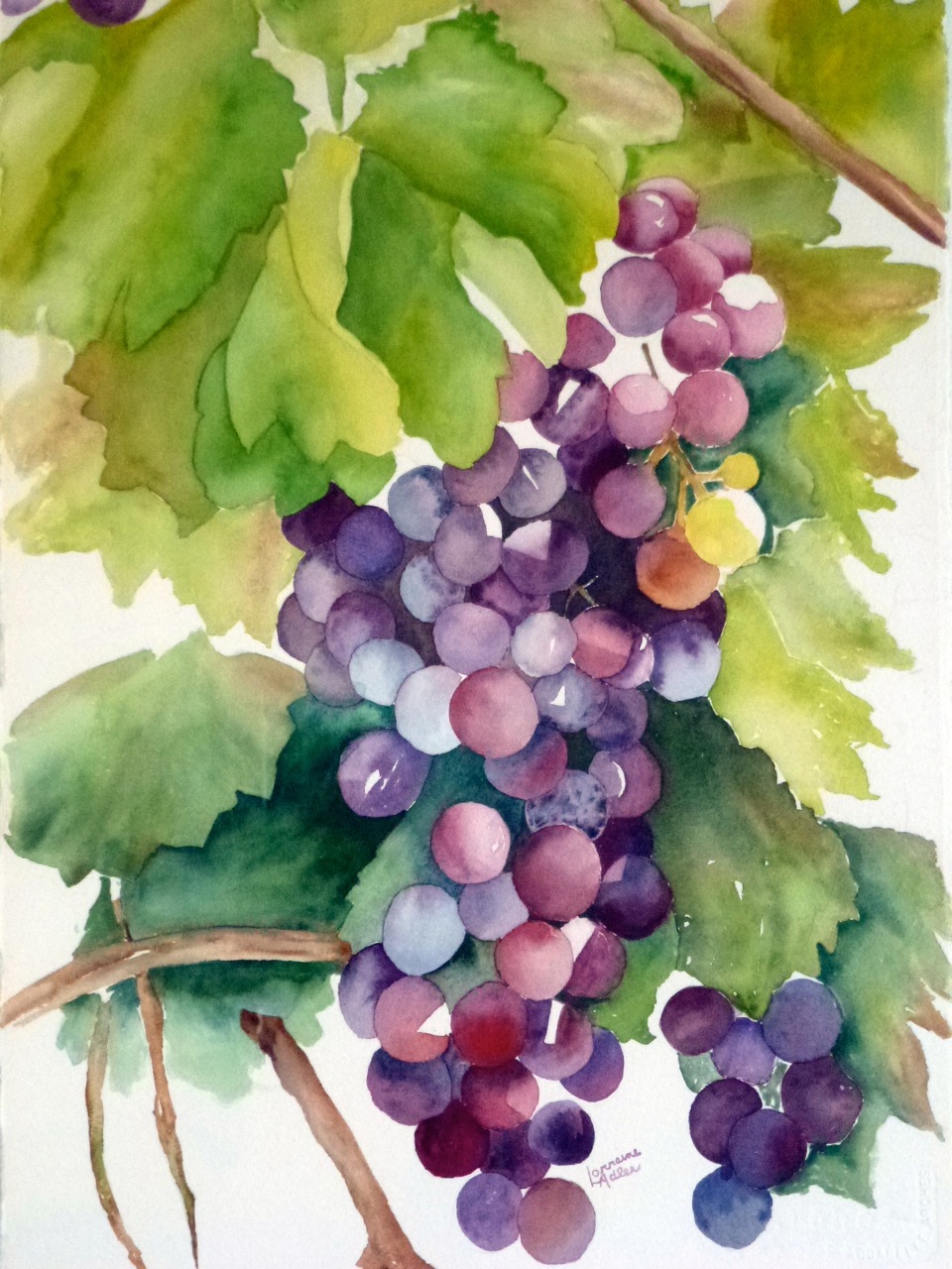 Wine on the Vine