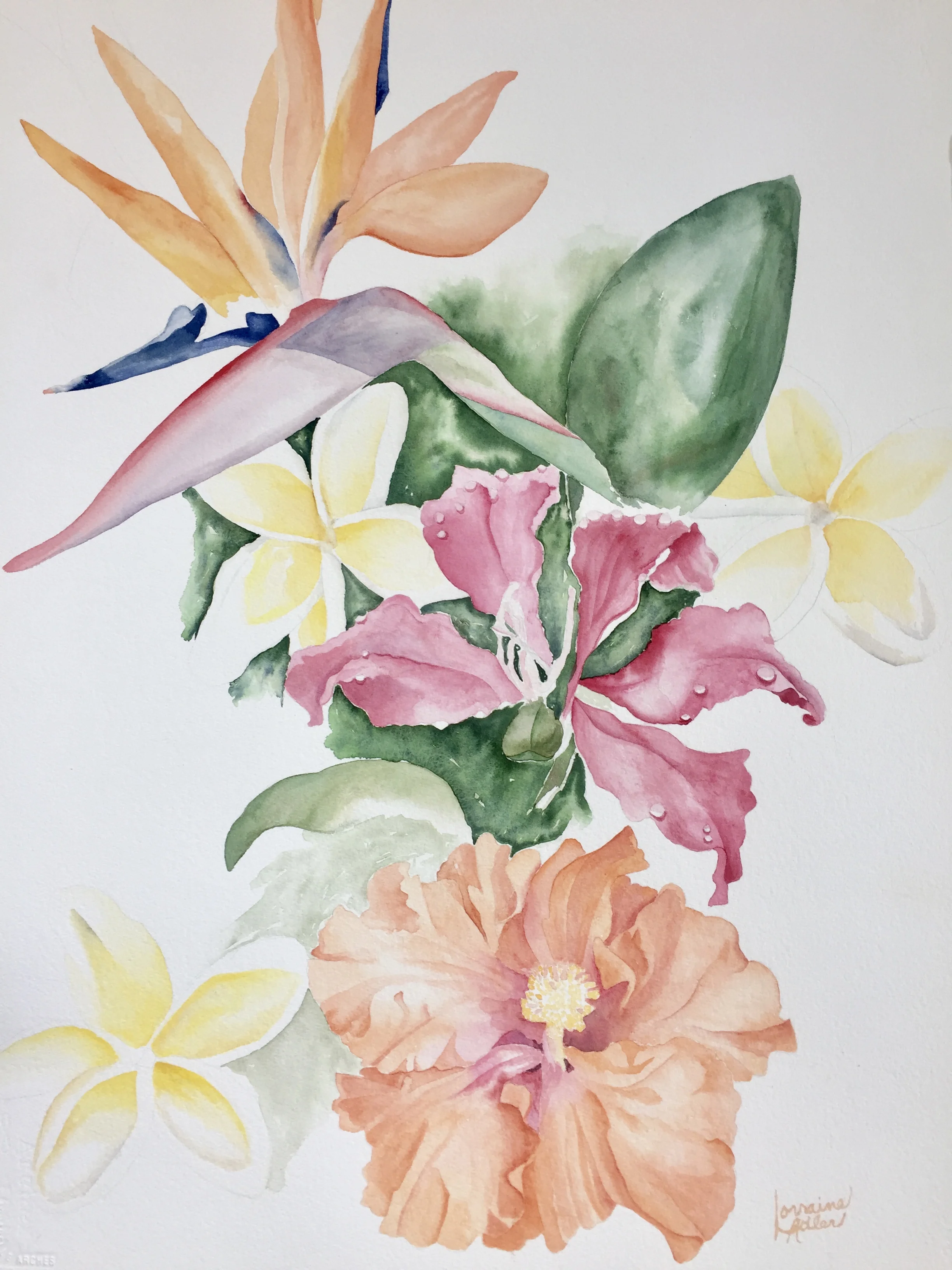 Tropic Lei