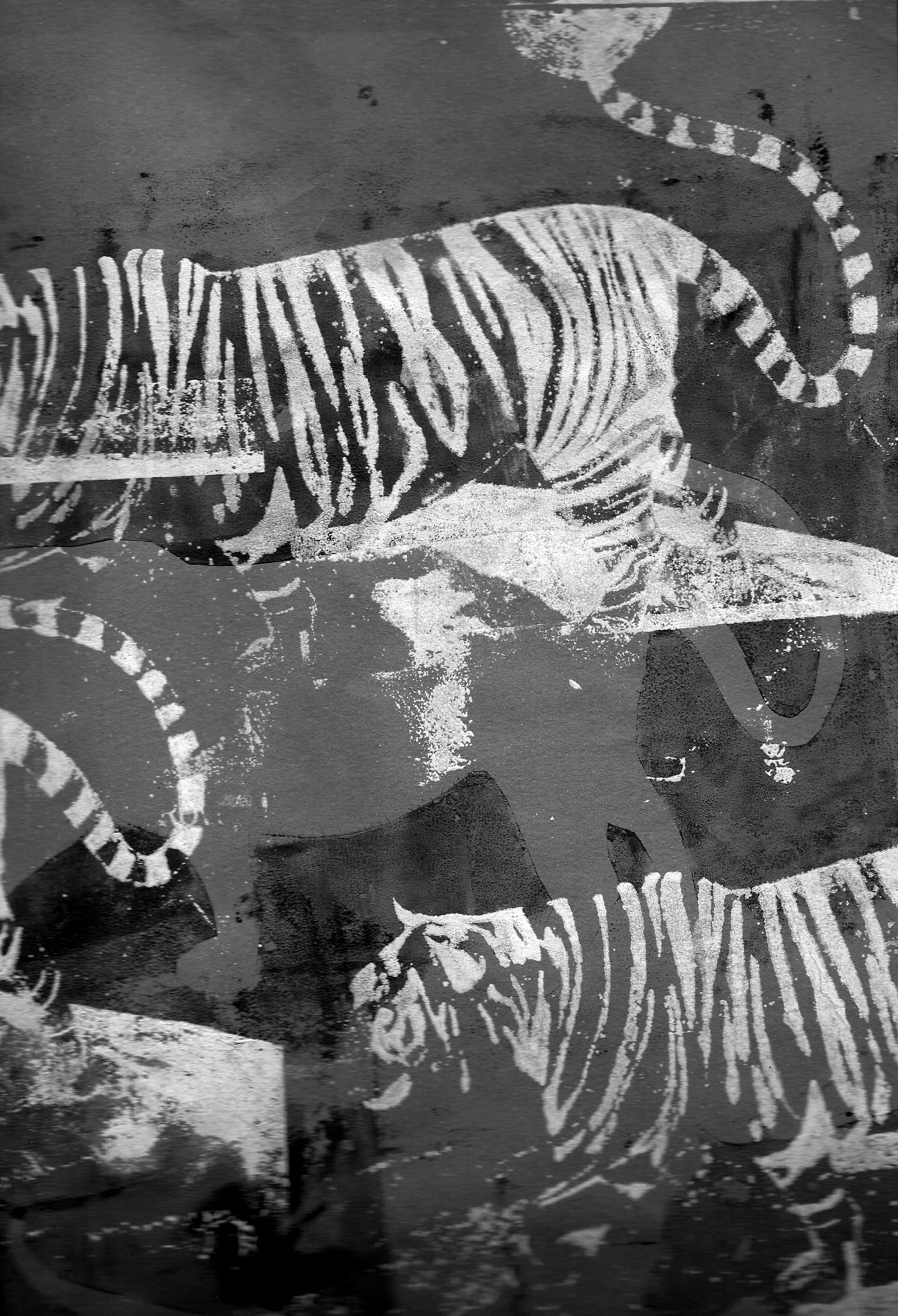 tigerflyer2.jpg
