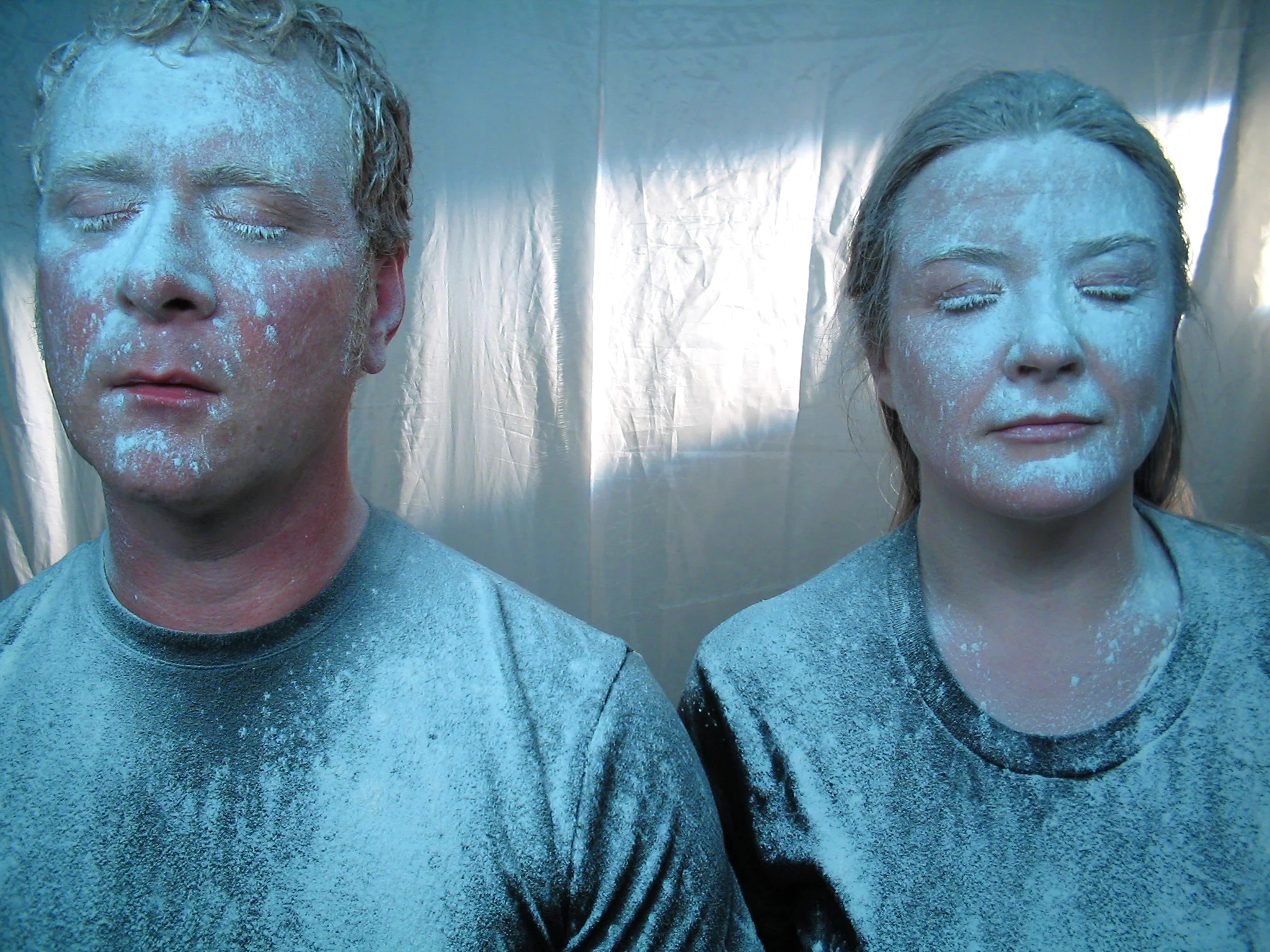 The Flu Season (2005)