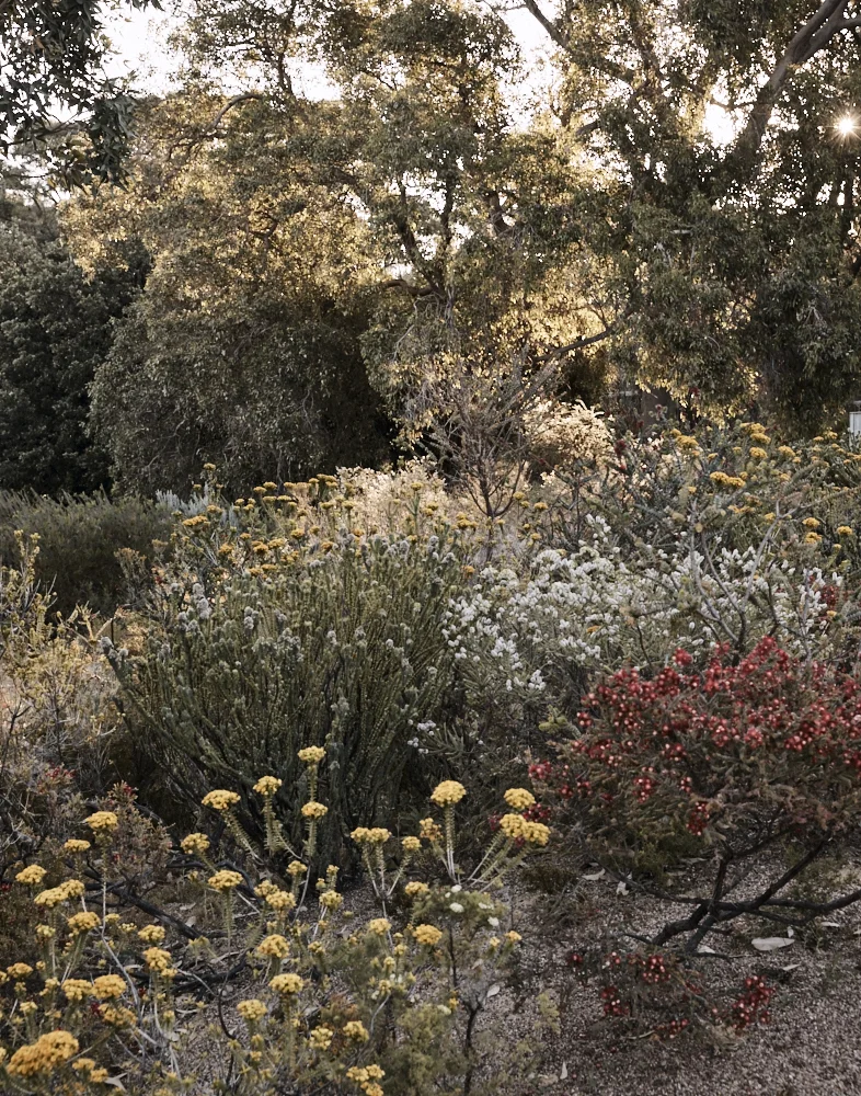 IMG1171_S11_HighGatePark_559 A.jpg