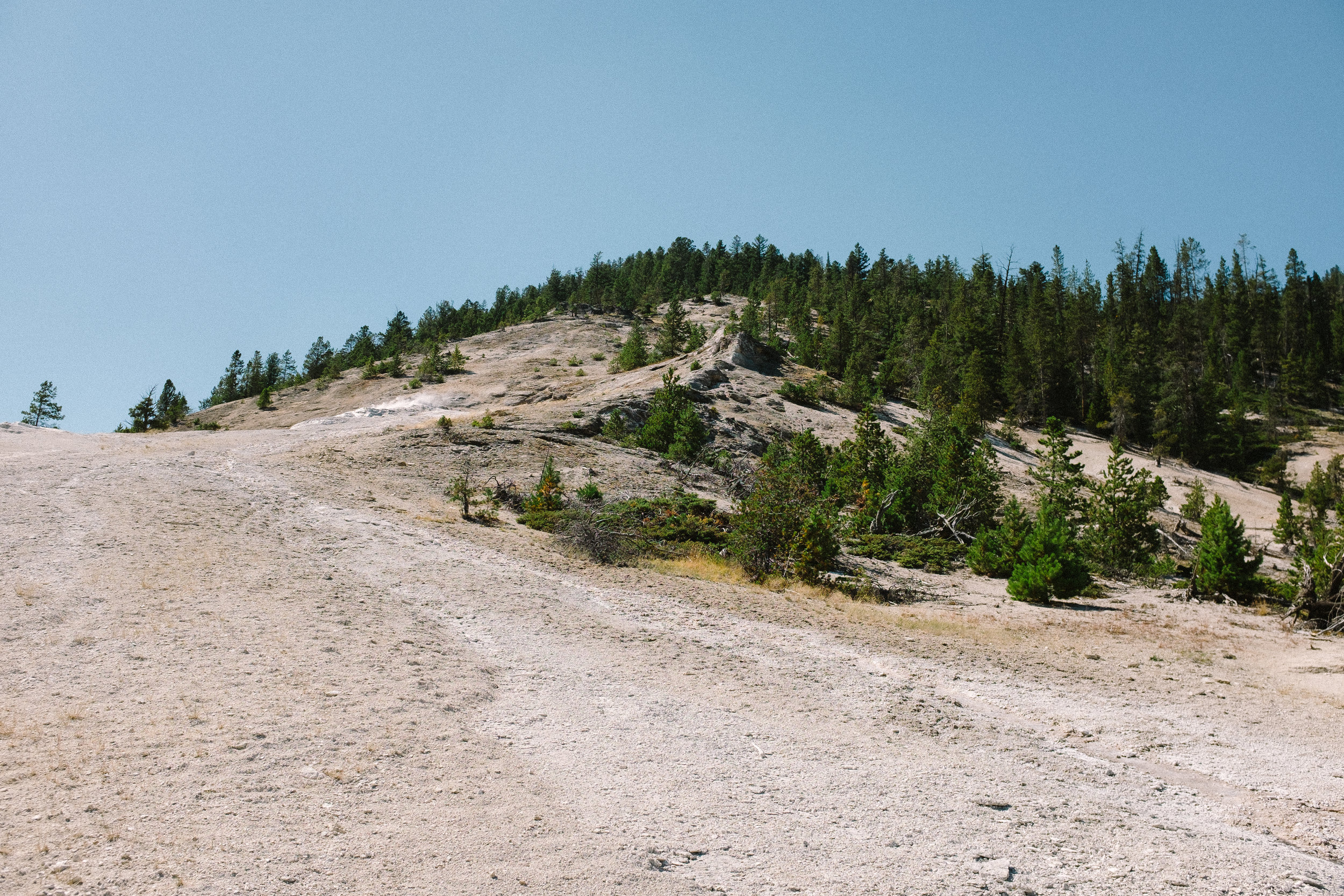 DSCF7643.jpg