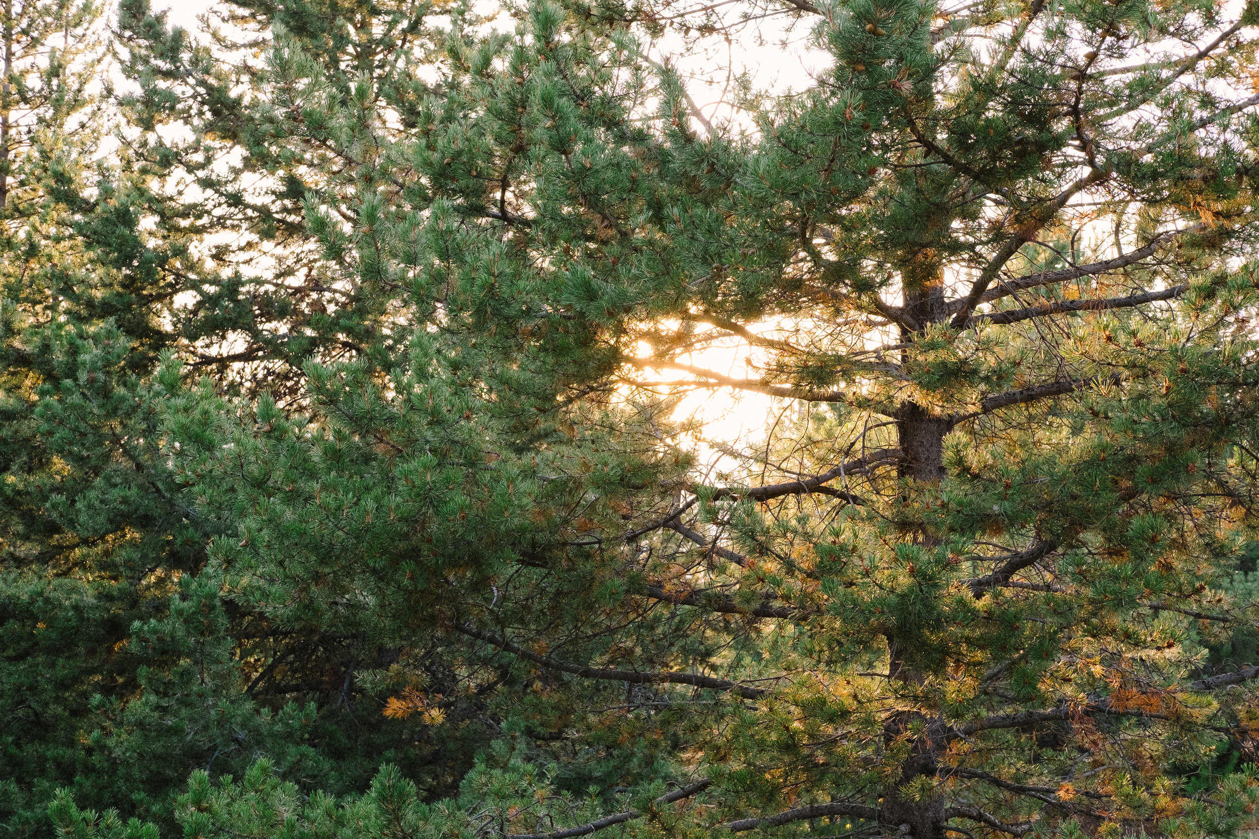 DSCF8073 2.jpg