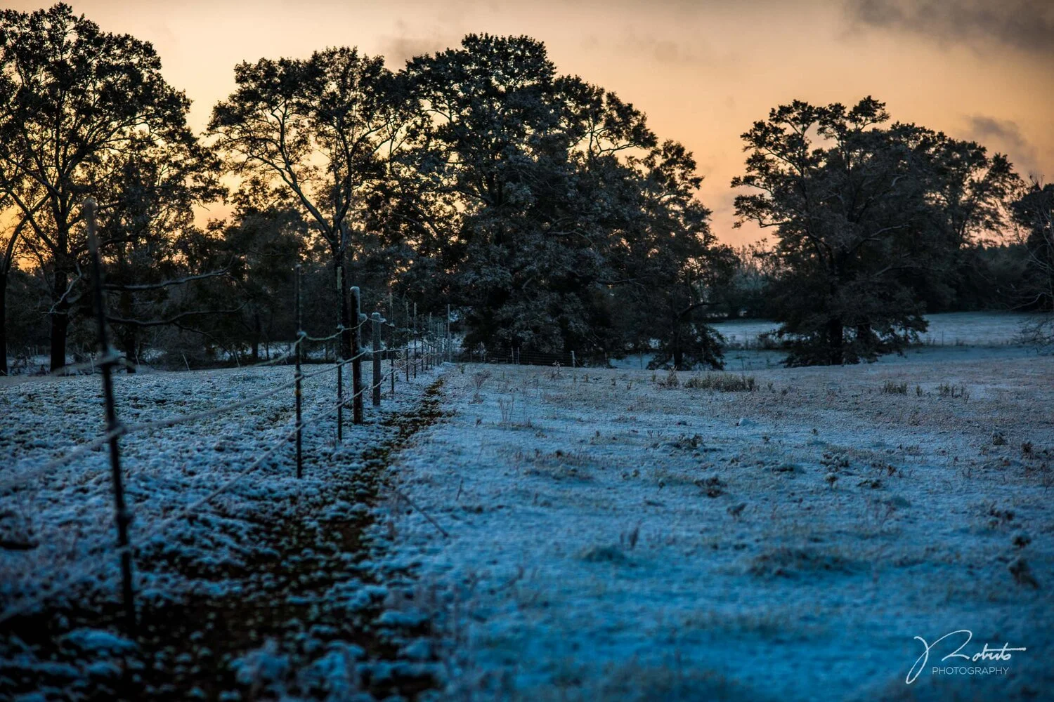 Snowfall_02.jpg