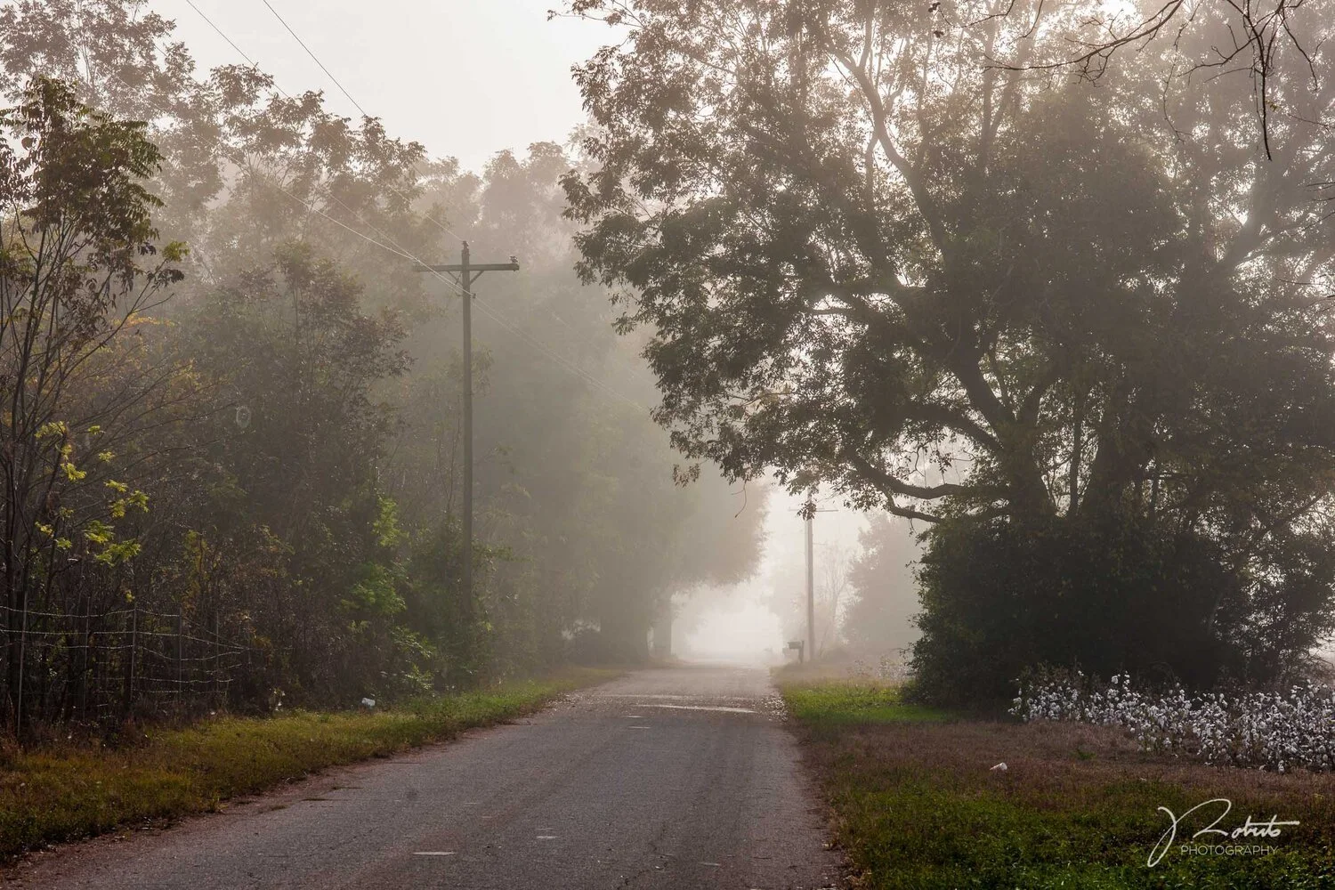 Fog_02(1).jpg