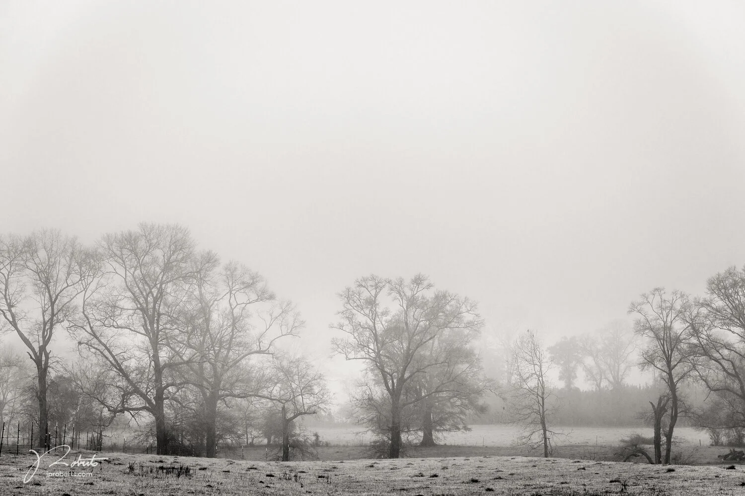 FoggyMorning_01(1).jpg