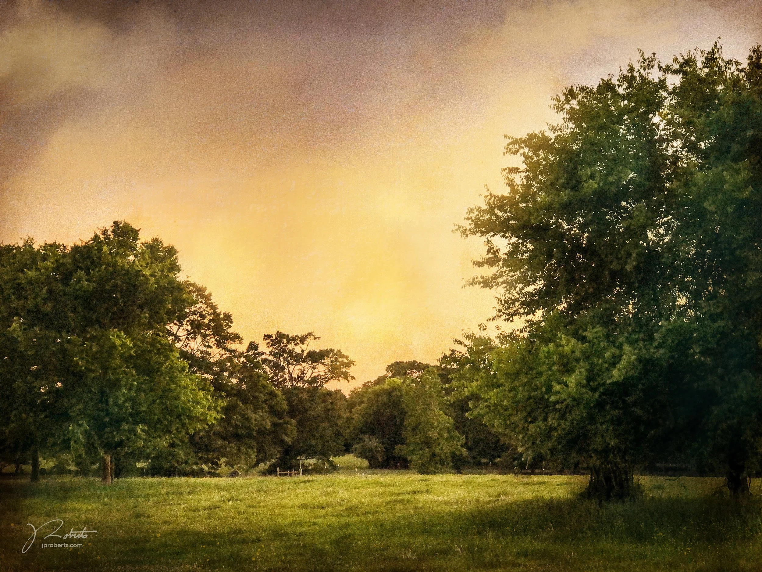 LateAfternoon3.jpg