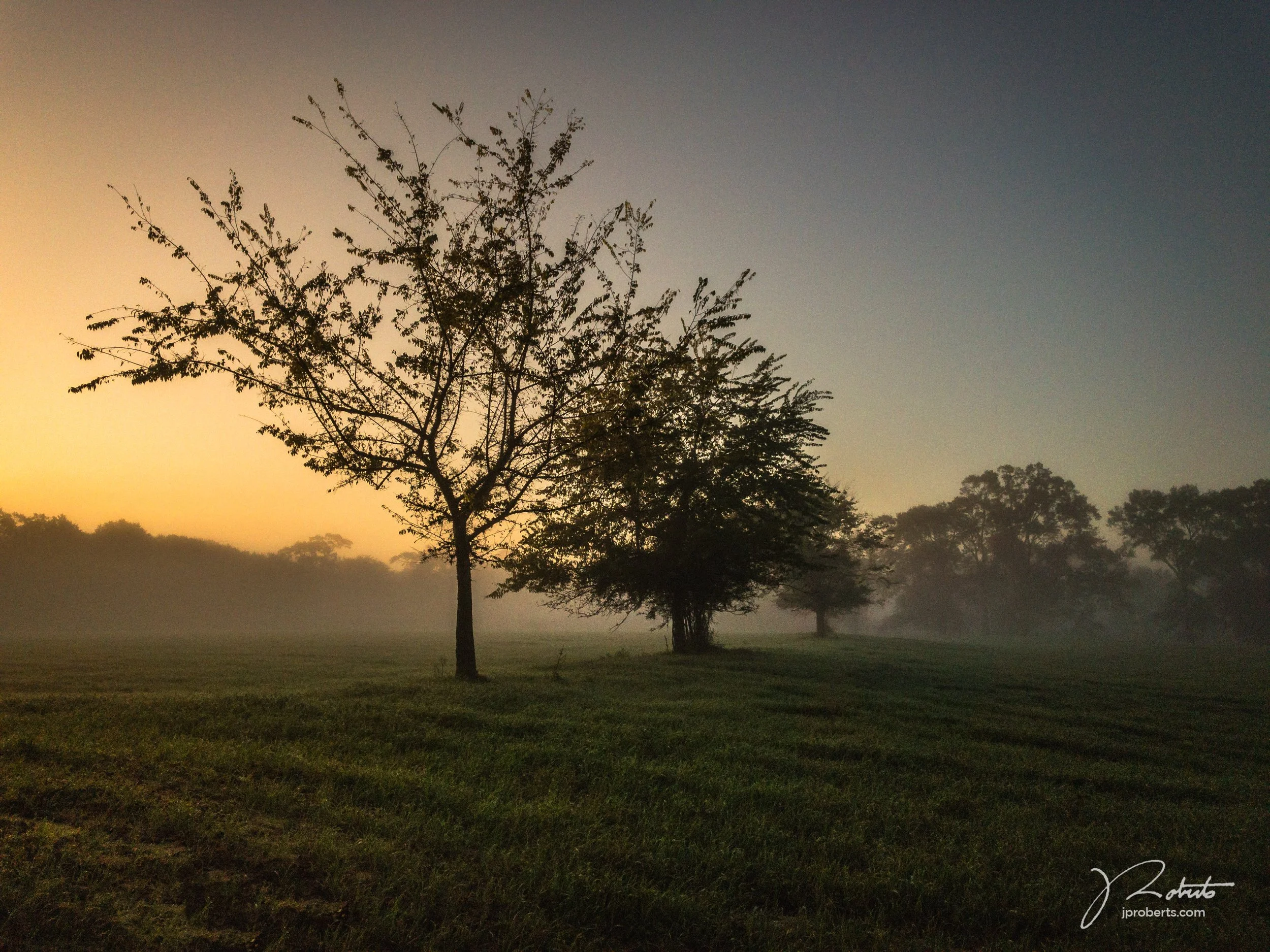 SunriseAndFog.jpg