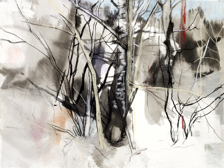 Amongst the trees, Vermont - Mixed media on paper 2010