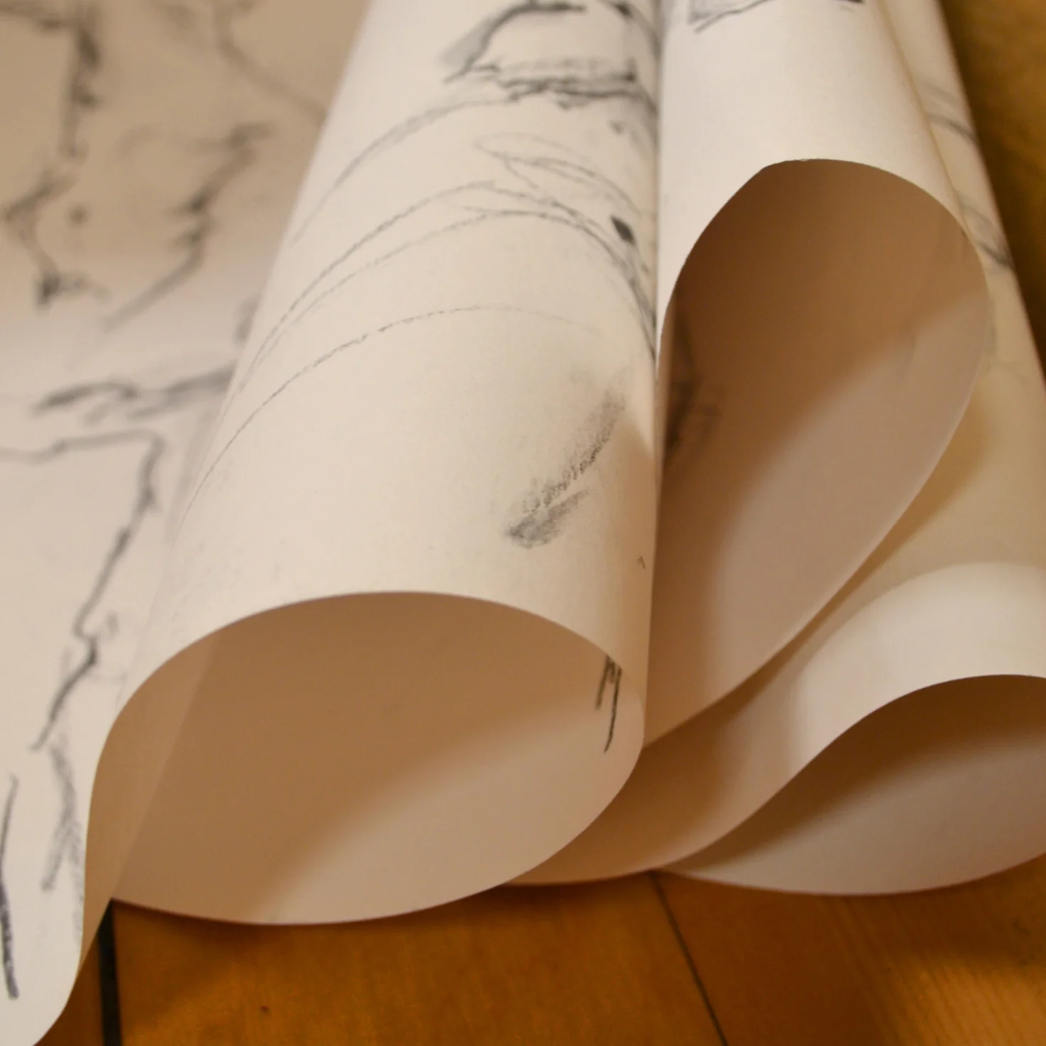 renew member image.JPG