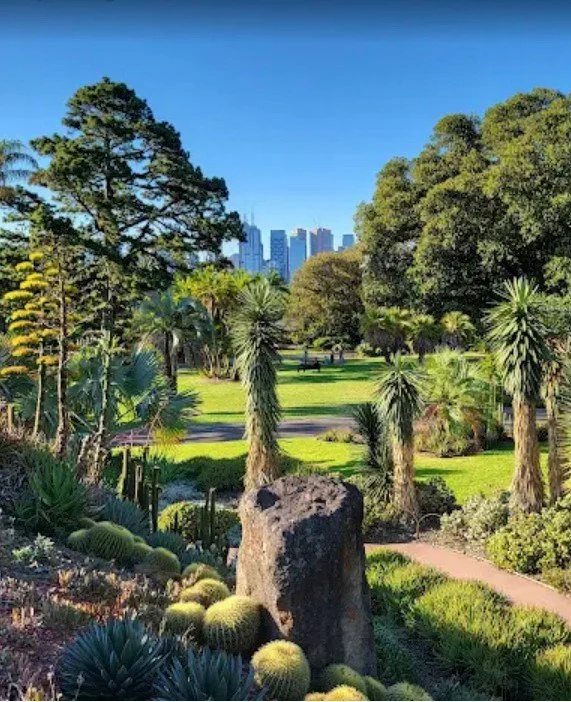 Our last Sunday of the month, HAS En Plein Air event is on Sunday 28 September at Guilfoyle&rsquo;s Volcano, Royal Botanical Gardens, Melway Map 2L, D1. Nearest entry gate is Gate C. ⁠
⁠
There you&rsquo;ll find the unique combination of exotic succul