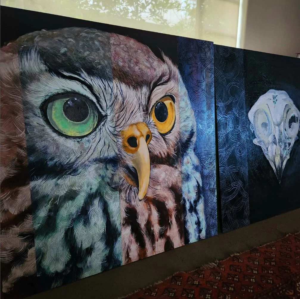 @sophiefresh76 A while between posts as lve had the lurgey. ...dyptich progress, the Barking Owl, a fair way to go yet, but, getting there...⁠
An amazing Australian owl, sadly listed as Threatened in Victoria on the Flora and Fauna Guarantee Act (198