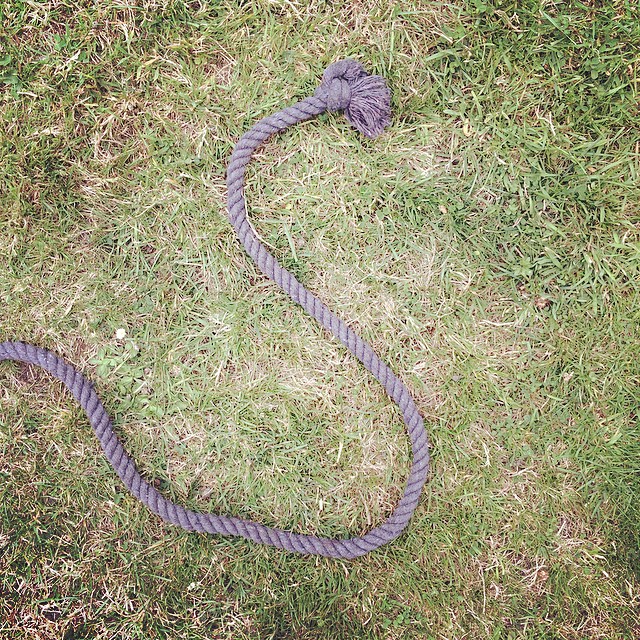 S #instagramalphabet #type #snake