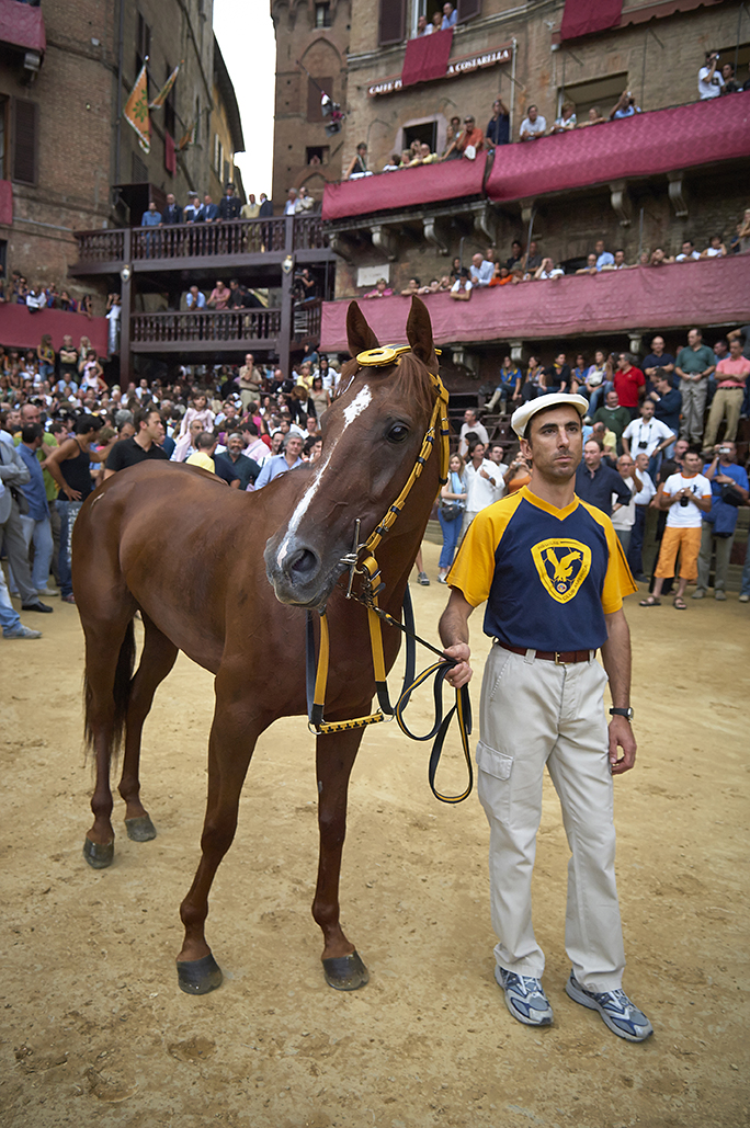 Palio di Siena-28.jpg