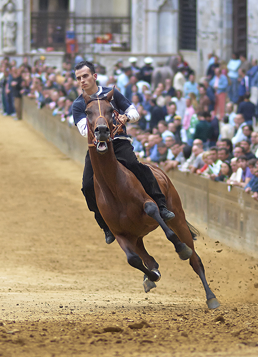 Palio di Siena-01.jpg