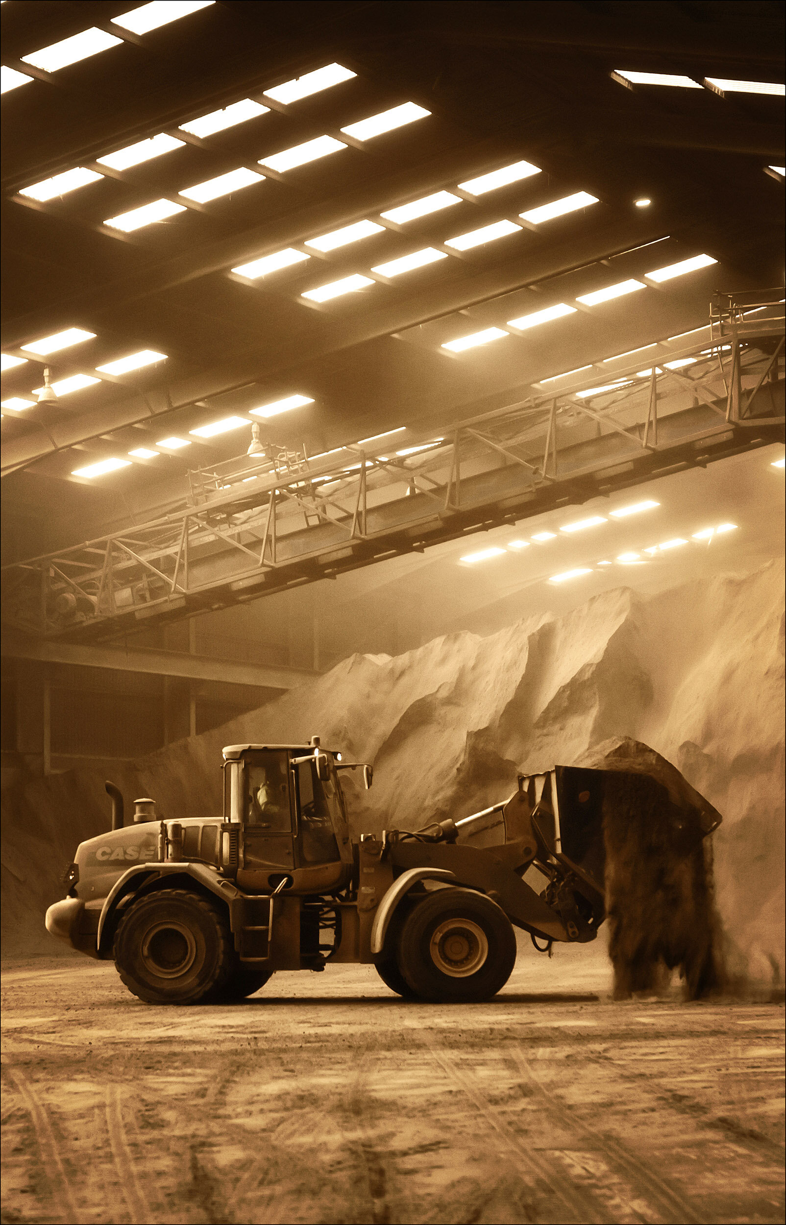 JCB Digger in animal feed grain storage facility at Liverpool Docks