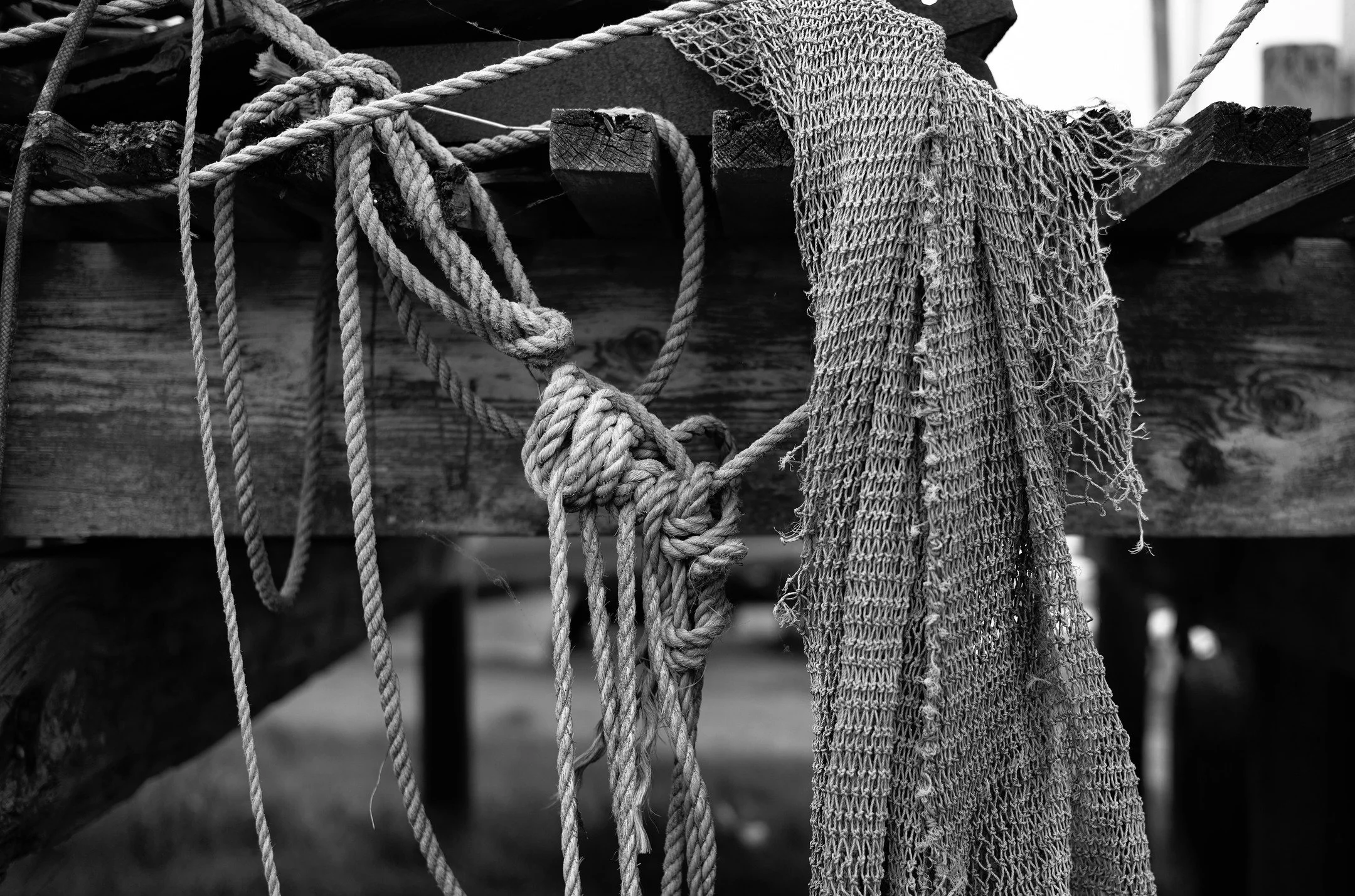 Archive. Skippool Creek, June 2021. #Leica #LeicaM10R #35mmSummilux #skippoolcreek #bnwphotography