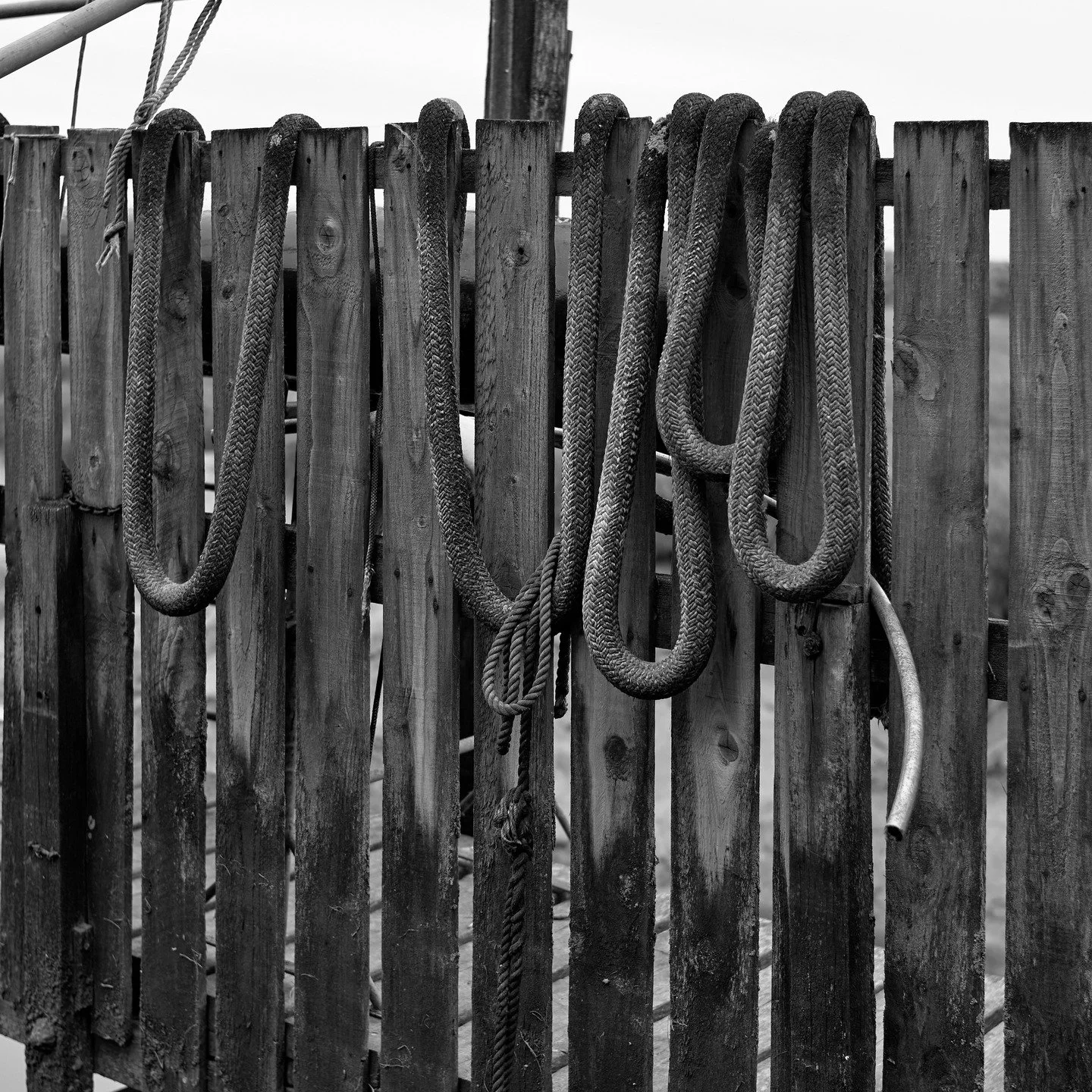 Archive. Skippool Creek, June 2021. #Leica #LeicaM10R #Summilux #skippoolcreek #fineart_photo