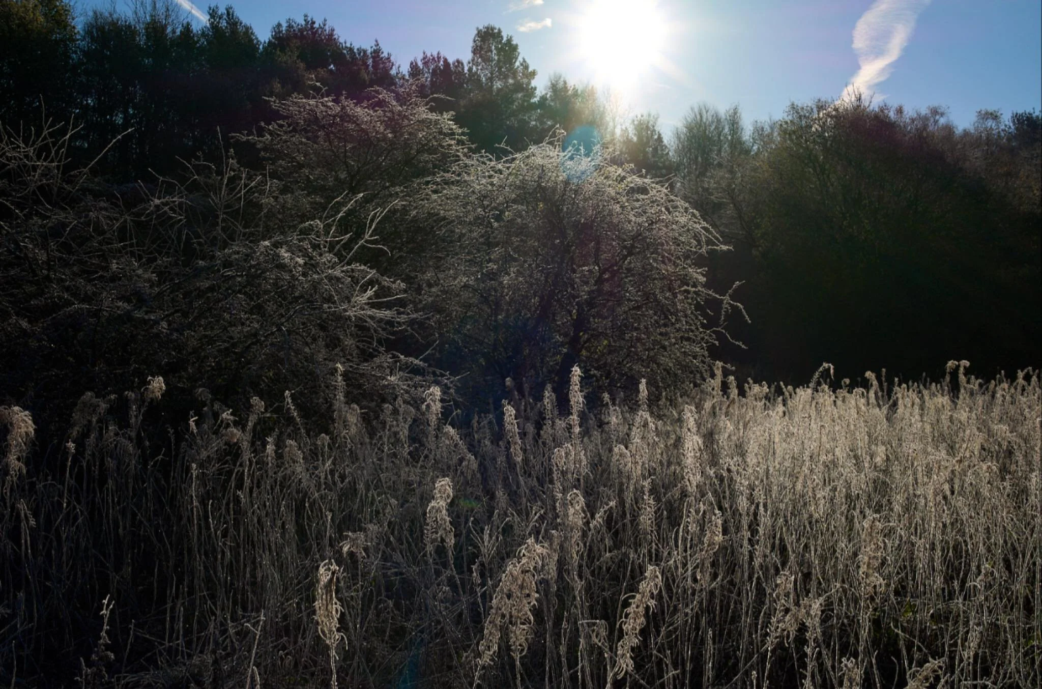 Watching the light and the land. No narrative, simple observations with a camera.
#leica #mossley #fineartphotography