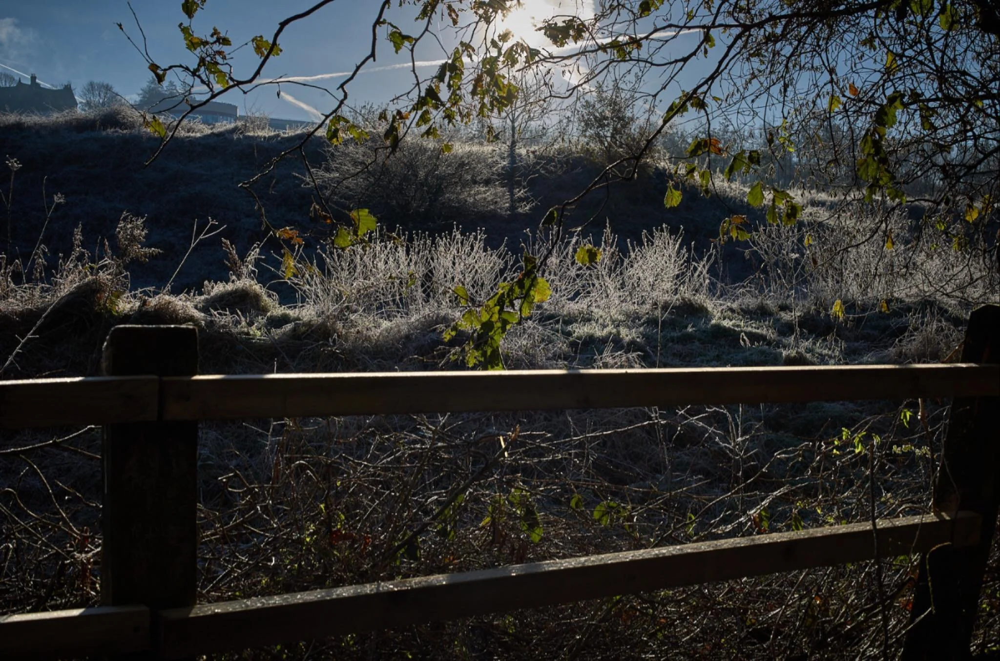 Watching the light and the land. No narrative, simple observations with a camera.
#leica #mossley #fineartphotography