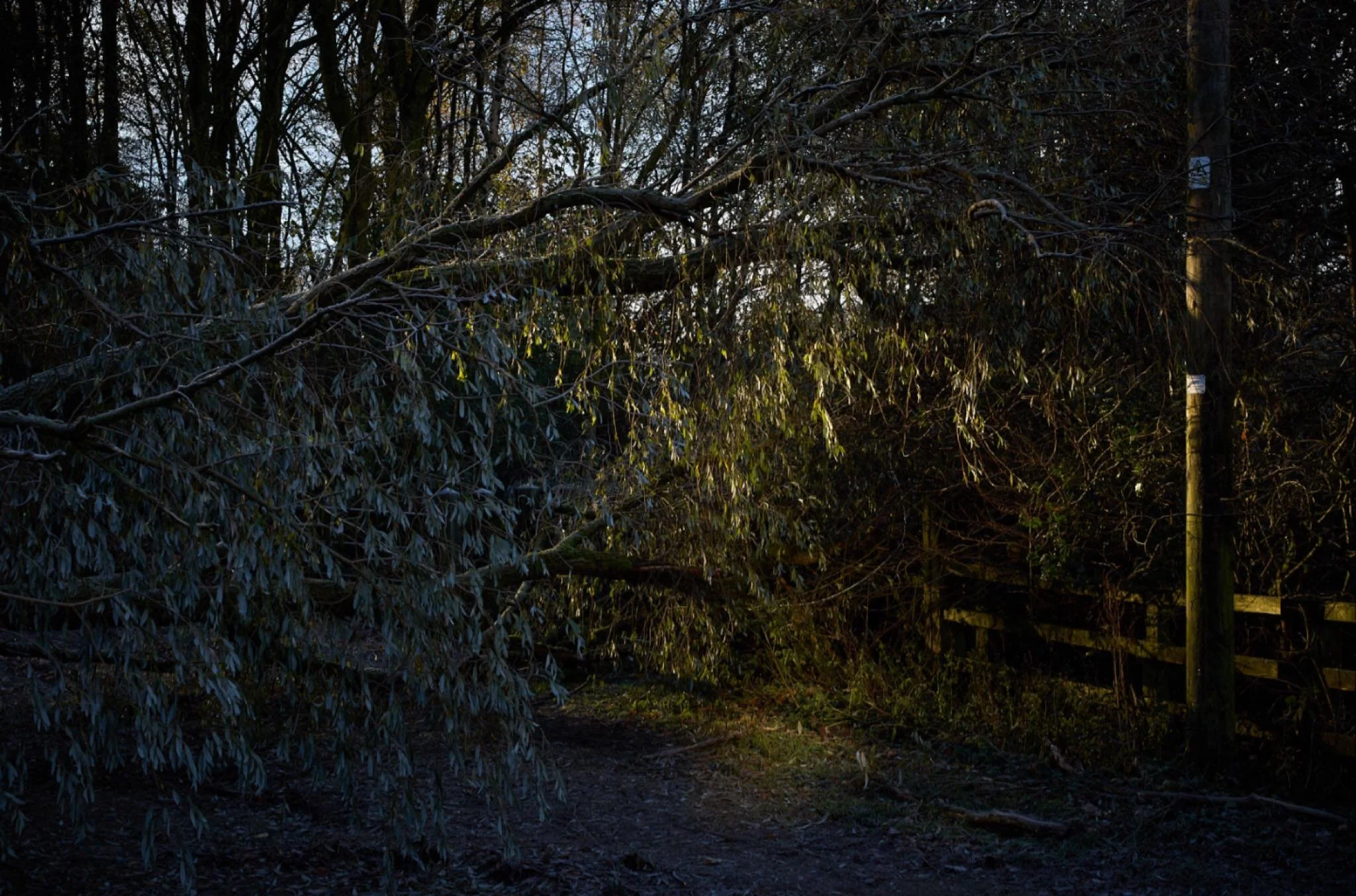 Watching the light and the land. No narrative, simple observations with a camera.
#leica #mossley #fineartphotography