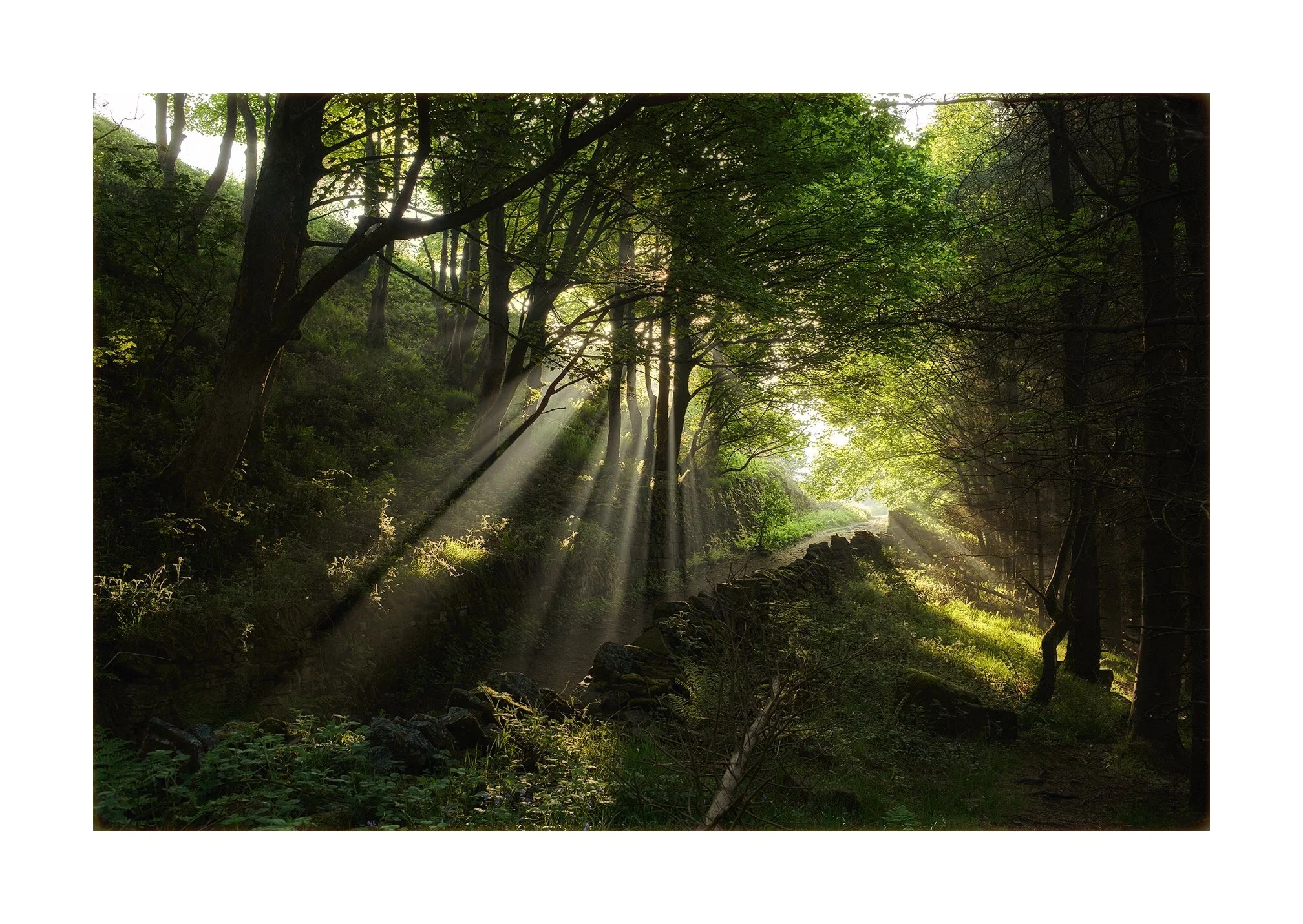 The land and the light.
Digley Reservoir. 

#Leica
#35mmSummilux
#DigleyReservoir