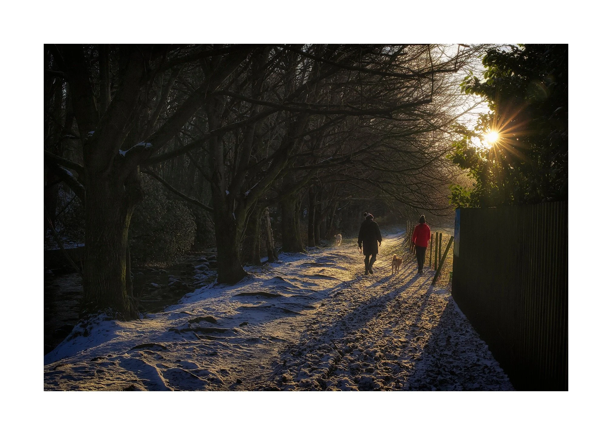 Winter sunlight
Greenfield, Saddleworth. 

#Leica
#35mmSummilux
#saddleworth