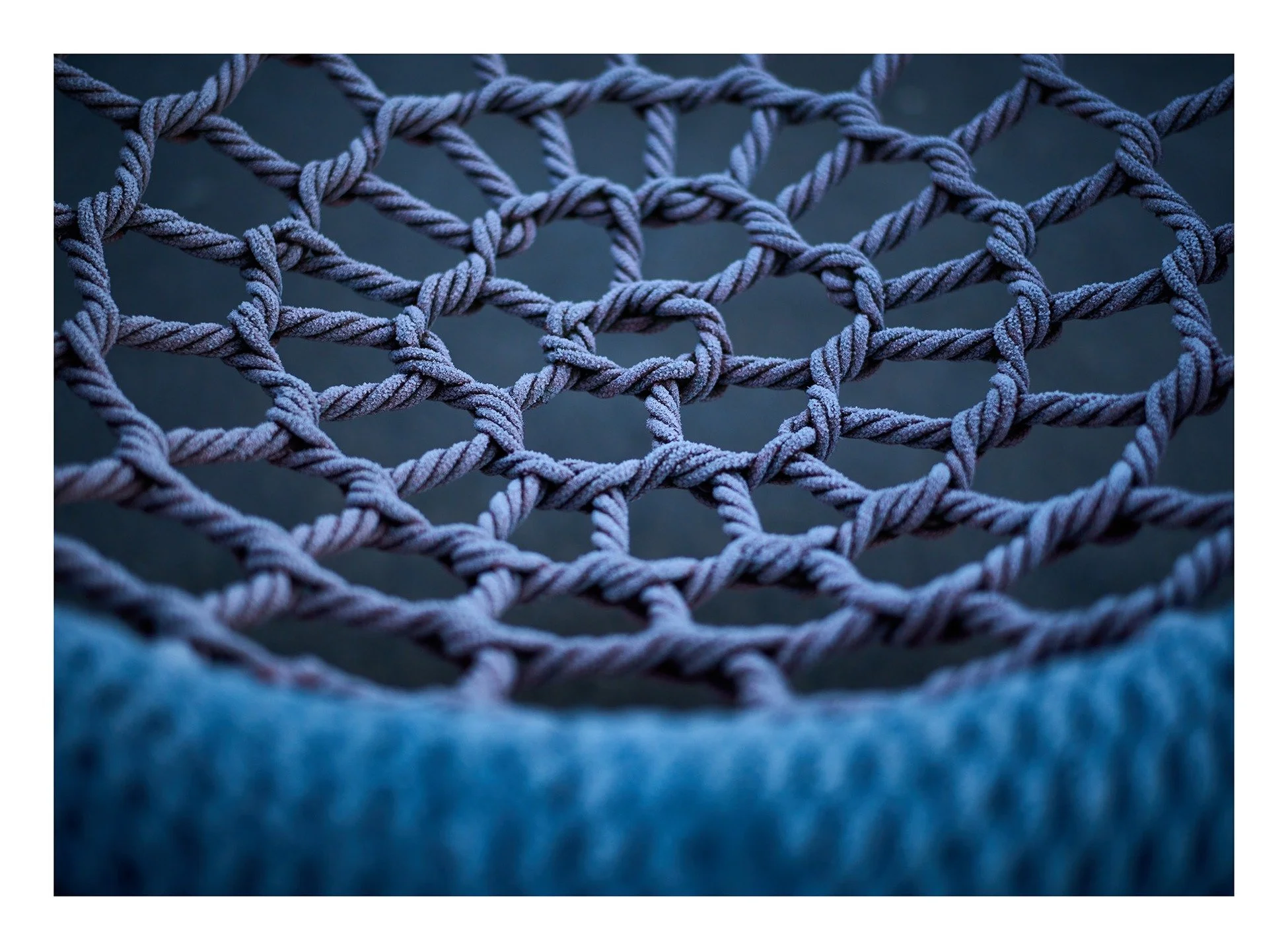 Abstracts of Winter. January 2026

#Leica 
#LeicaM10R
#Summilux
#mossley