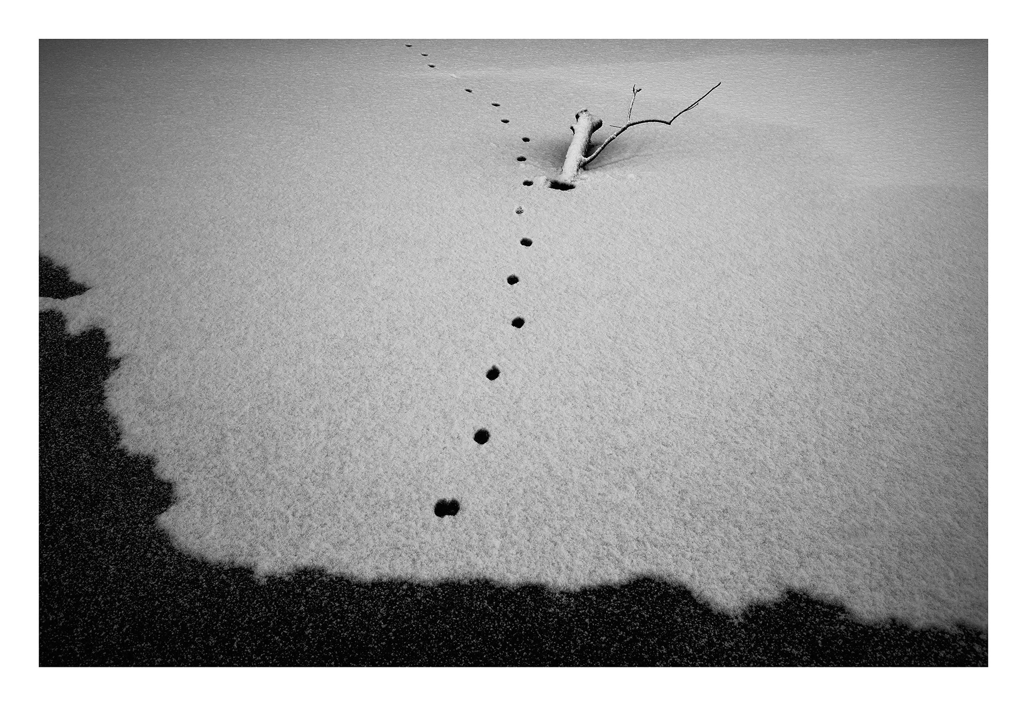 Abstracts of Winter. 
Huddersfield Narrow Canal, January 2026.

#Leica 
#LeicaM10R
#Summilux
#mossley