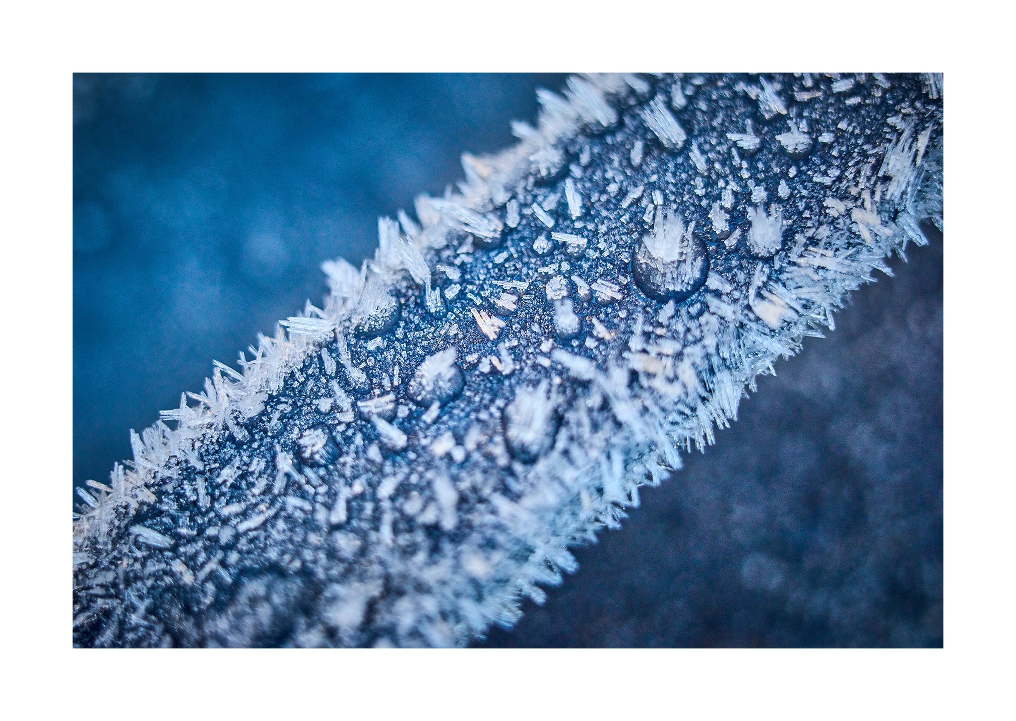 Winter Macro photography with the Leica M10R and Macro Adapter M
January 2026

#Leica 
#LeicaM10R
#Macrophotography
#summilux