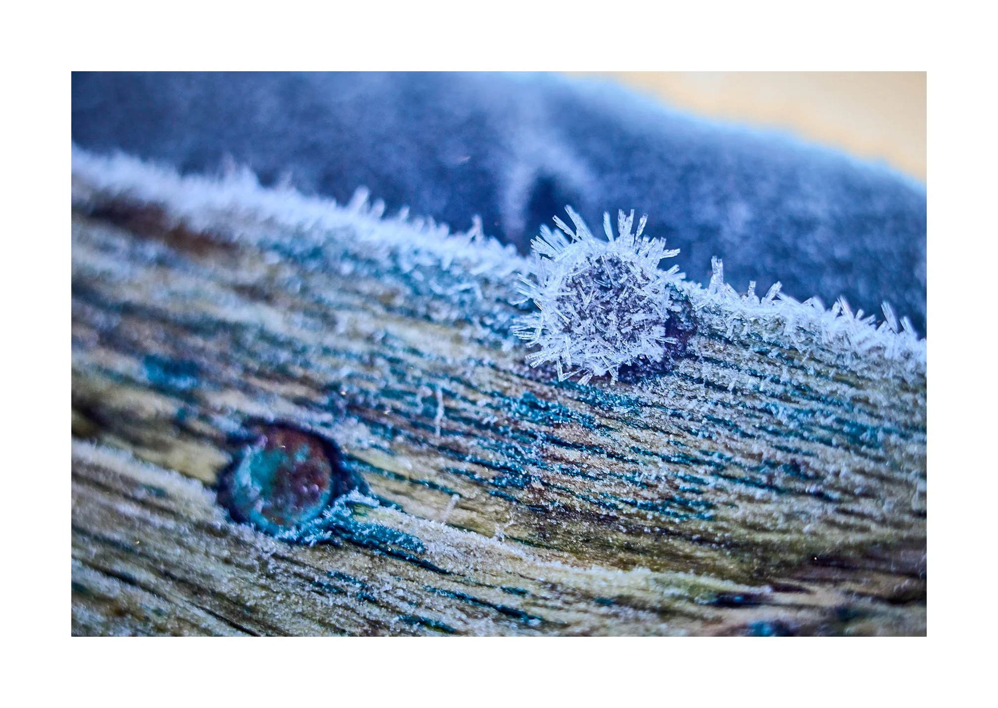 Winter Macro photography with the Leica M10R and Macro Adapter M
January 2026

#Leica 
#LeicaM10R
#Macrophotography
#summilux