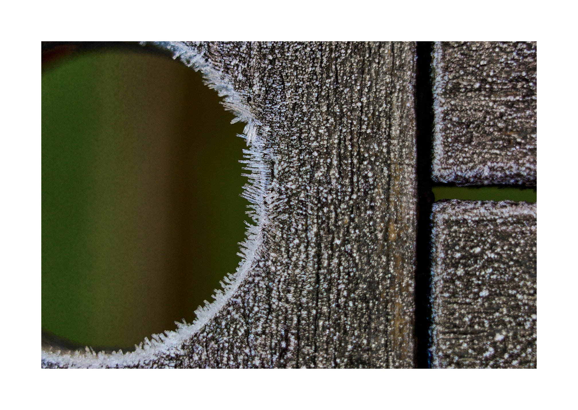 Winter Macro photography with the Leica M10R and Macro Adapter M
January 2026

#Leica 
#LeicaM10R
#Macrophotography
#summilux