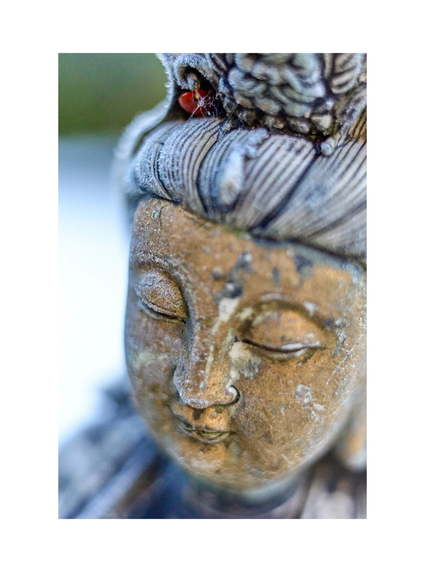 Winter Macro photography with the Leica M10R and Macro Adapter M
January 2026

#Leica 
#LeicaM10R
#Macrophotography
#summilux