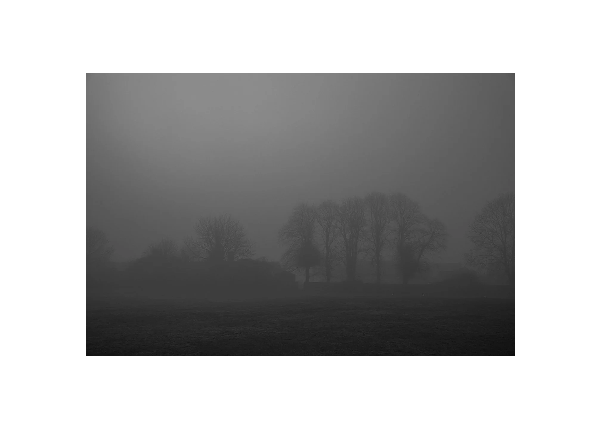 Sea fret in the park.

#Hornsea
#Leica 
#Summilux
#Fineartphotography