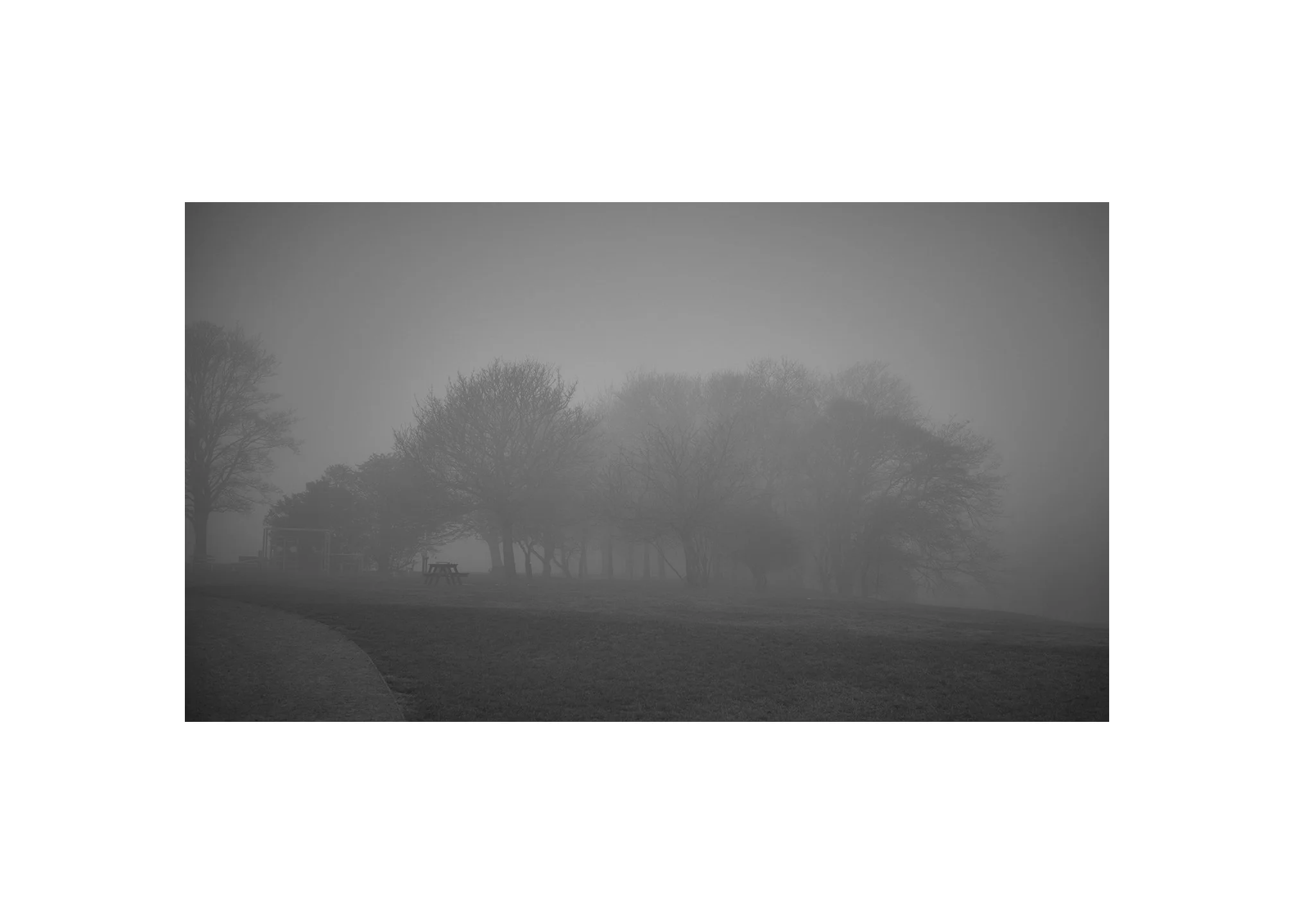 Sea fret in the park.

#Hornsea
#Leica 
#Summilux
#Fineartphotography