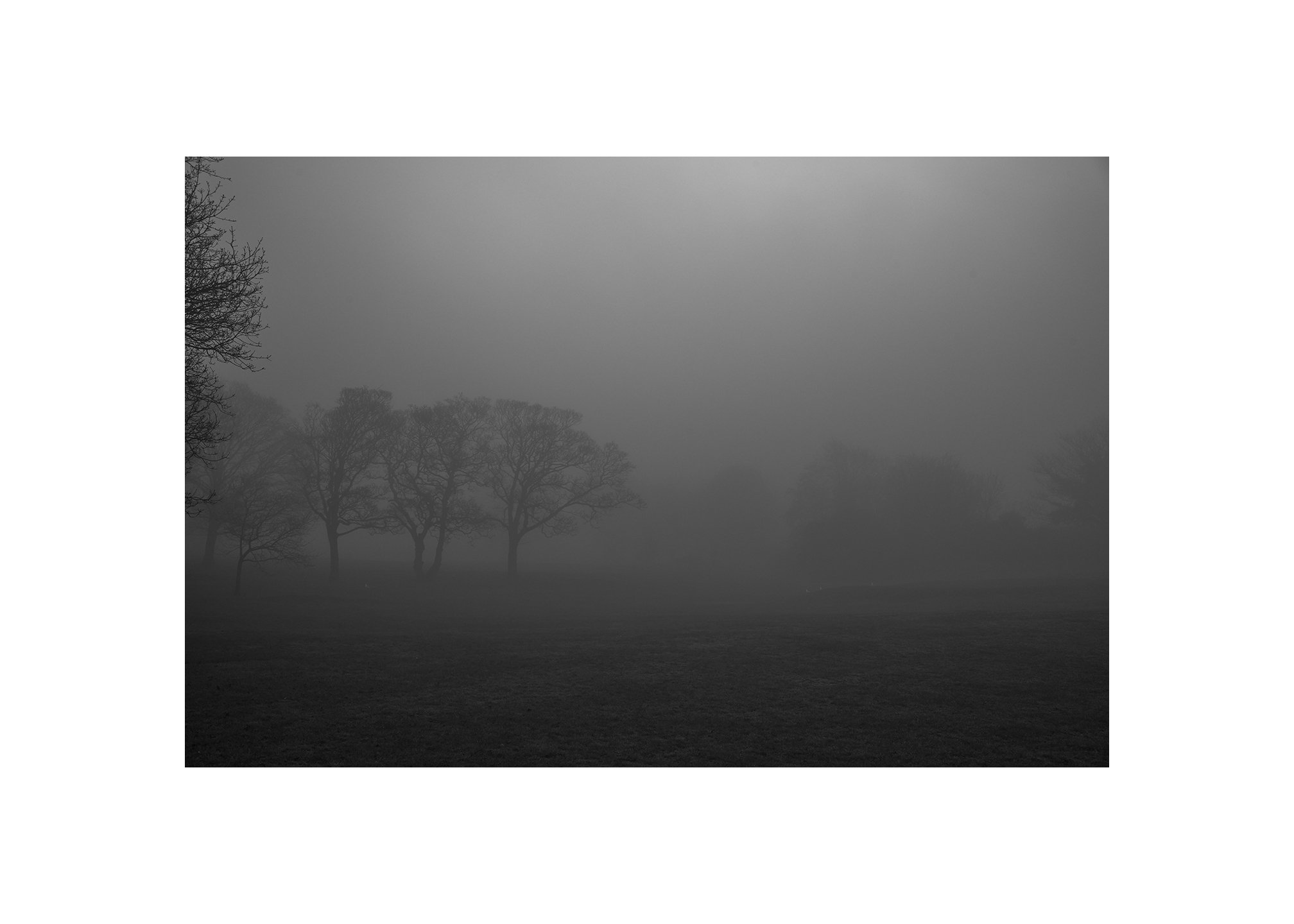 Sea fret in the park.

#Hornsea
#Leica 
#Summilux
#Fineartphotography