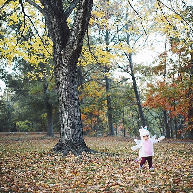 spotted a unicorn in the wild today 🦄 #ollieween