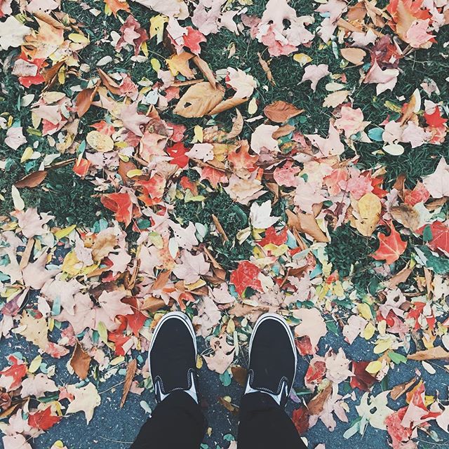 enjoying these last few days of fall. hate to see you go, but love to watch you "leaf". 🍂😂