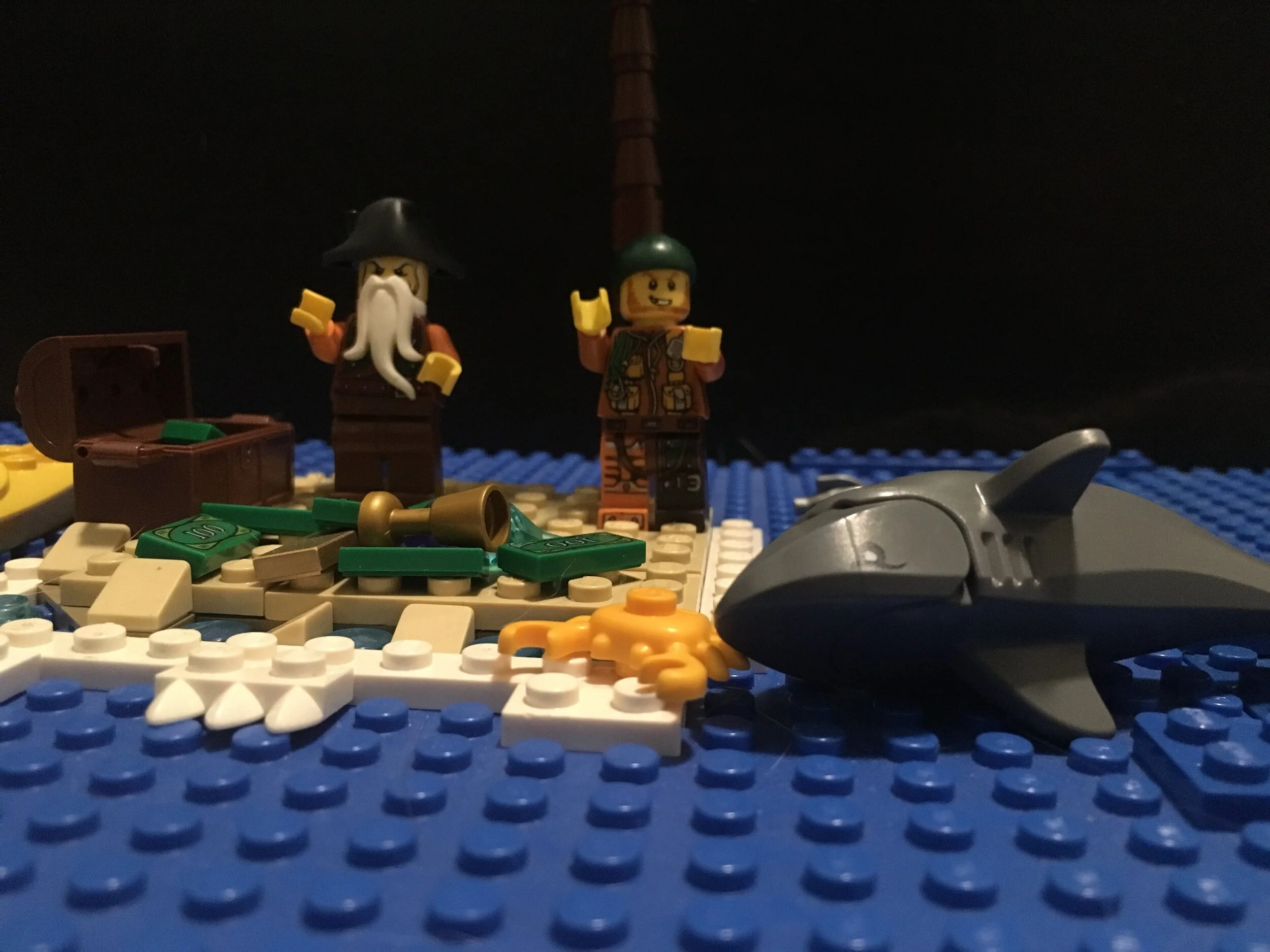 A Pirate's Quest