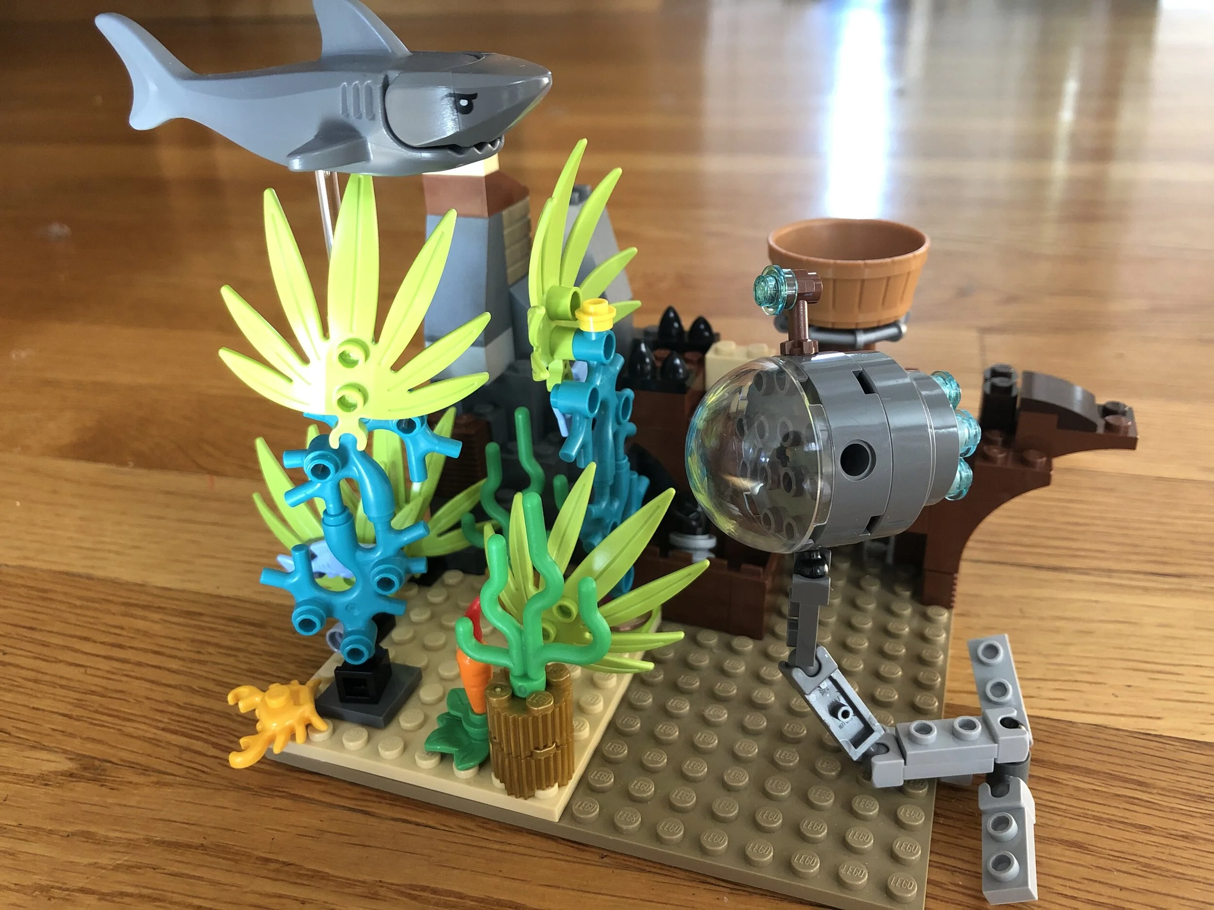 The Shark with No Friends