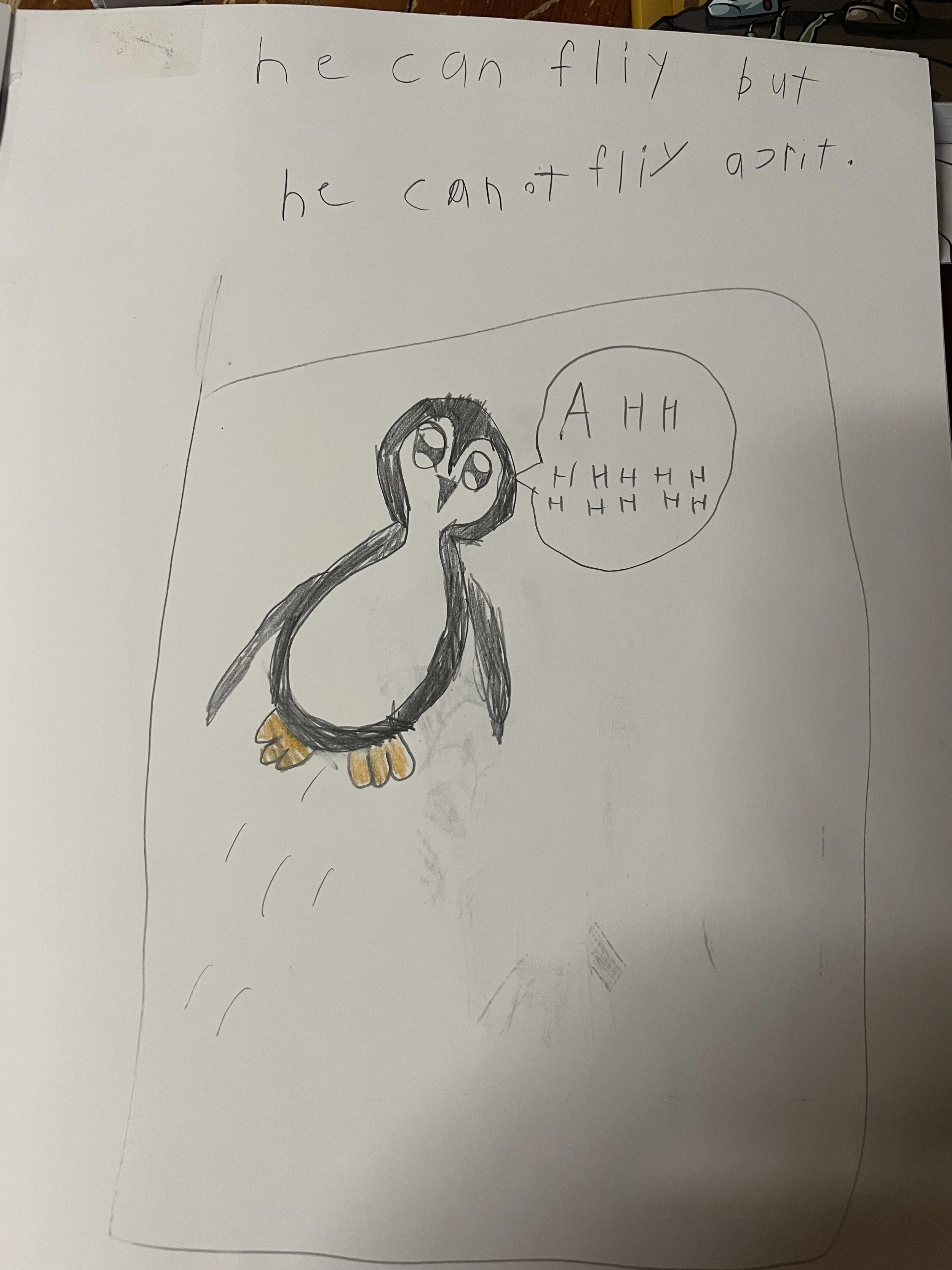 IMG_8319.jpeg