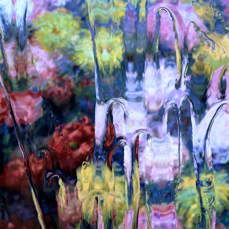 After Claude Monet: Chrysanthemums 1, 1897, 2017