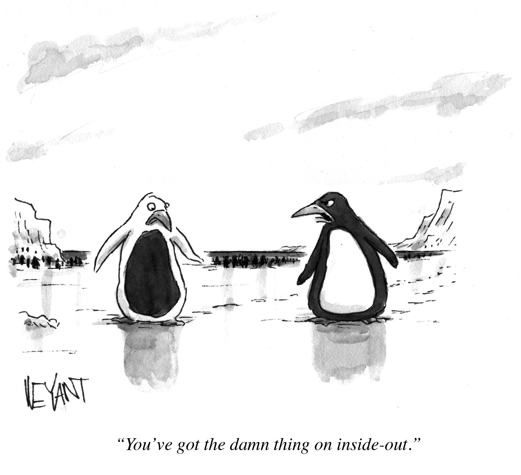 NewYorker-Penguin InsideOut copy.jpg