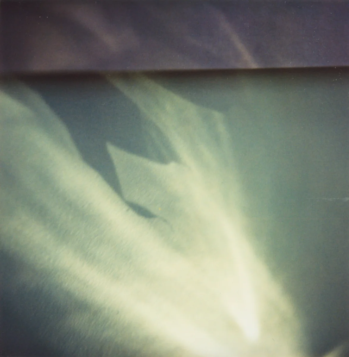 DisappearanceGathering-10.jpg