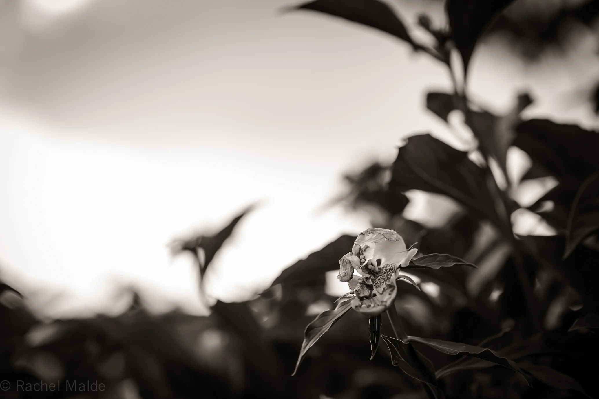 08_20140525.jpg